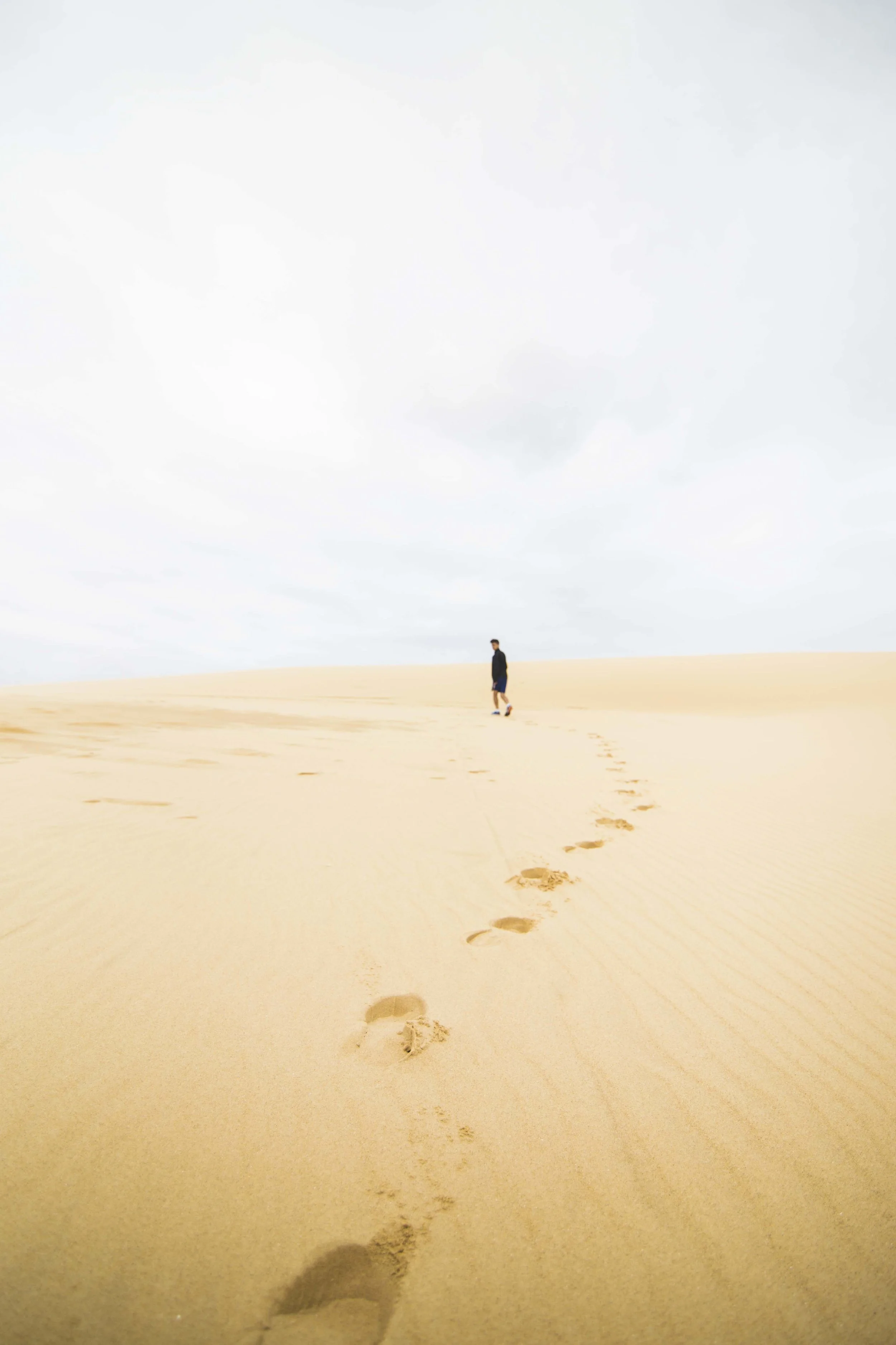 Sand Dunes near Stockton. Photo: Marine Raynard