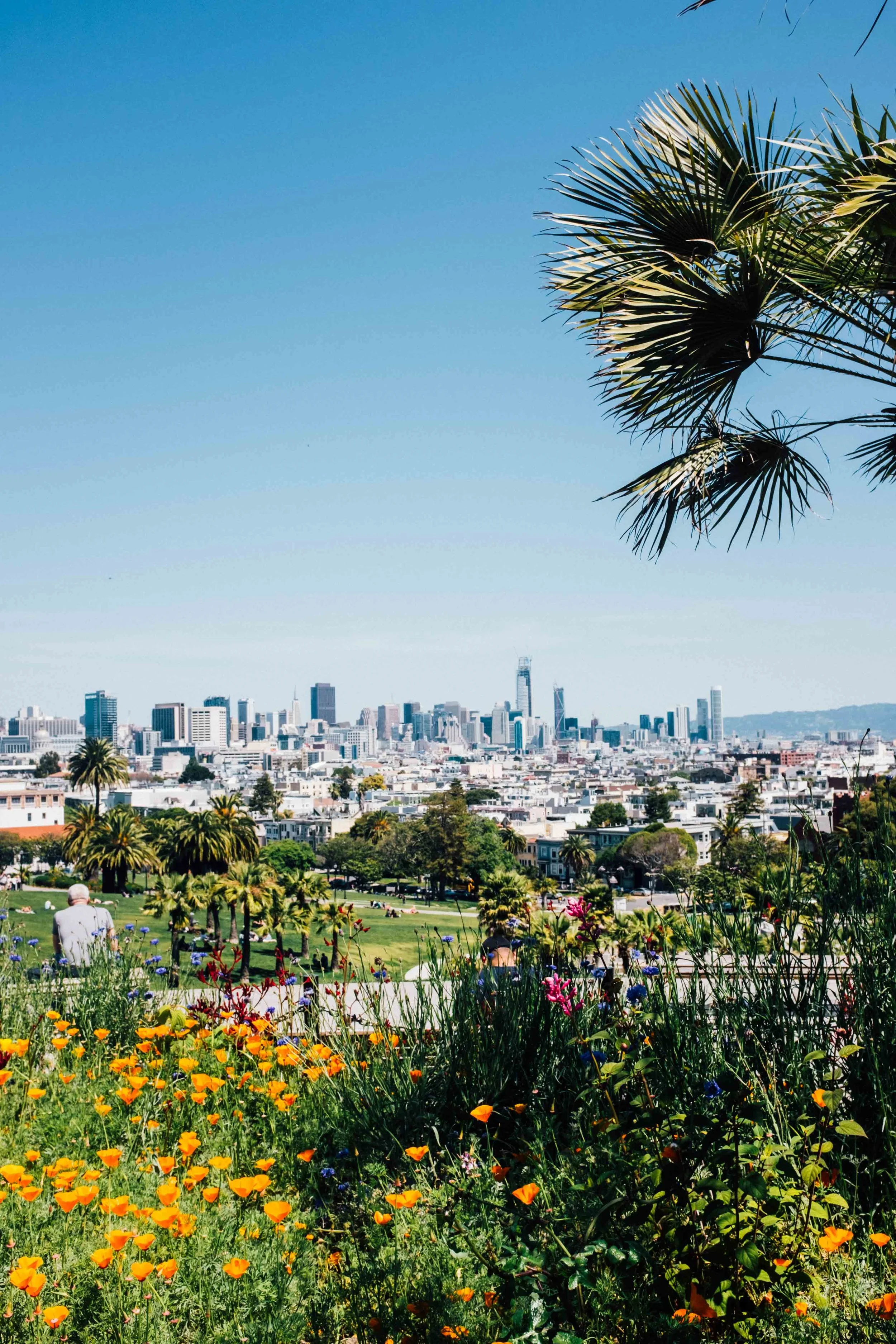 The wonderful view from Mission Dolores Park. Photo: Marine Raynard