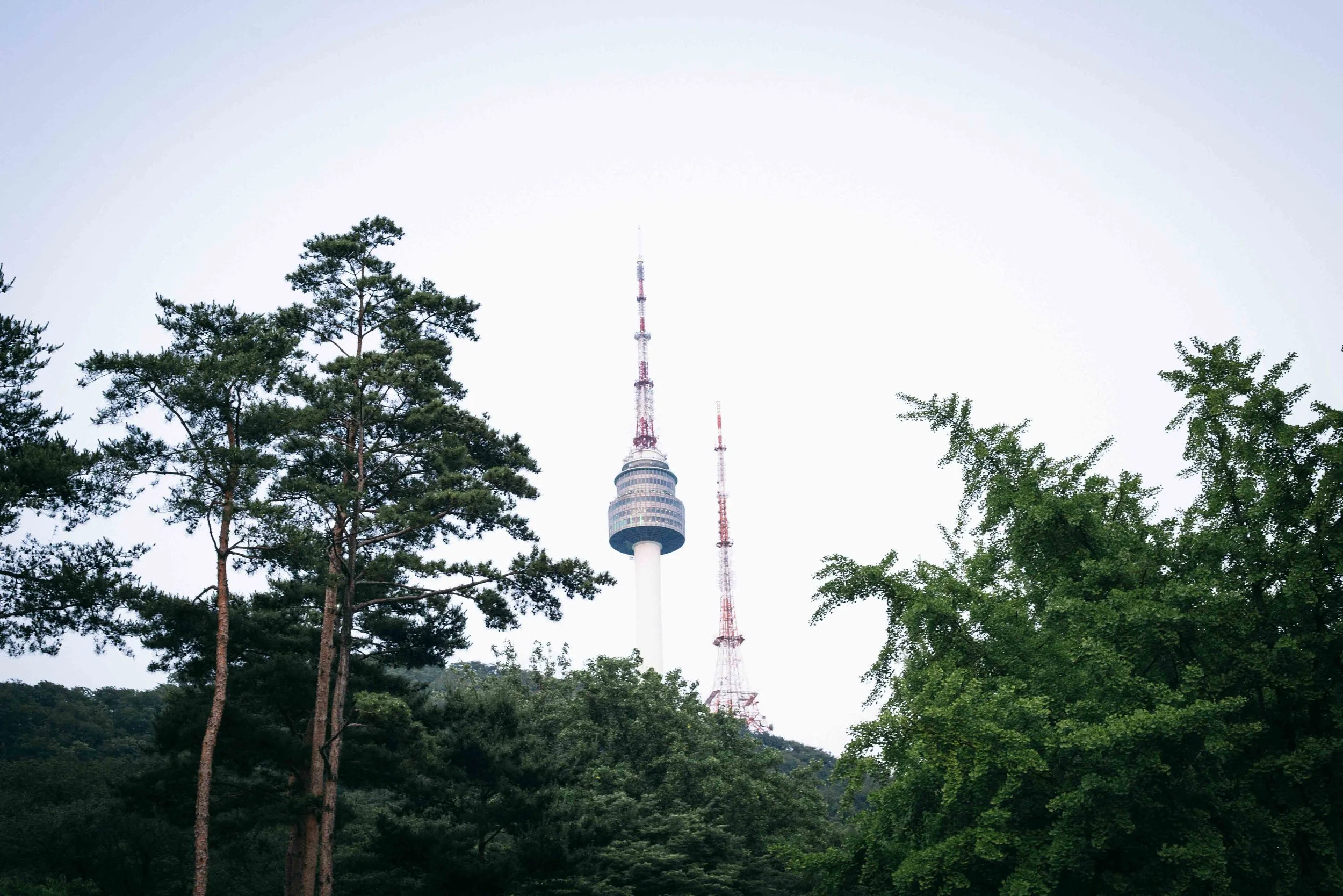 The Seoul Tower