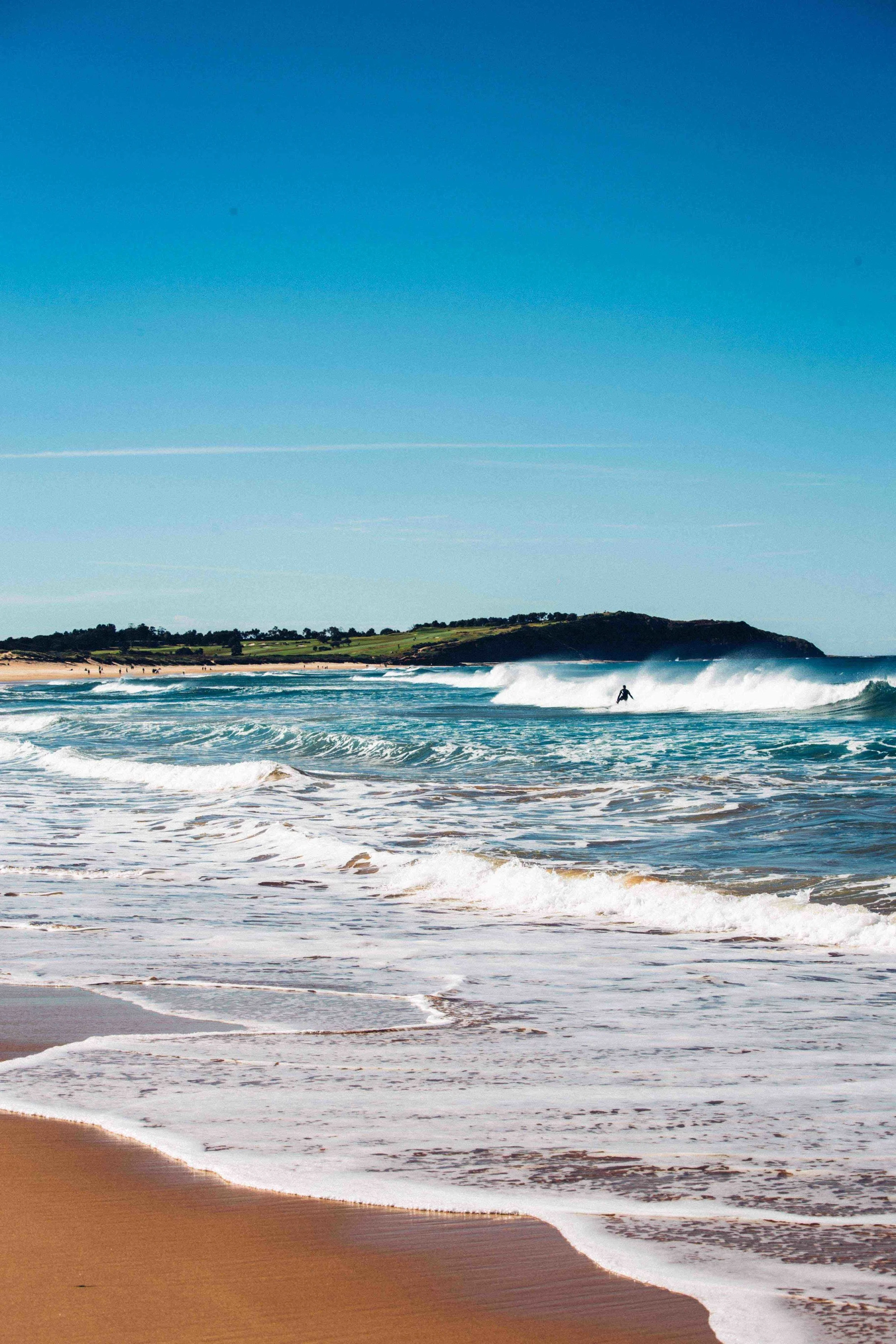 From Dee Why Beach with a view of Long Reef in the background. Photo: Marine Raynard