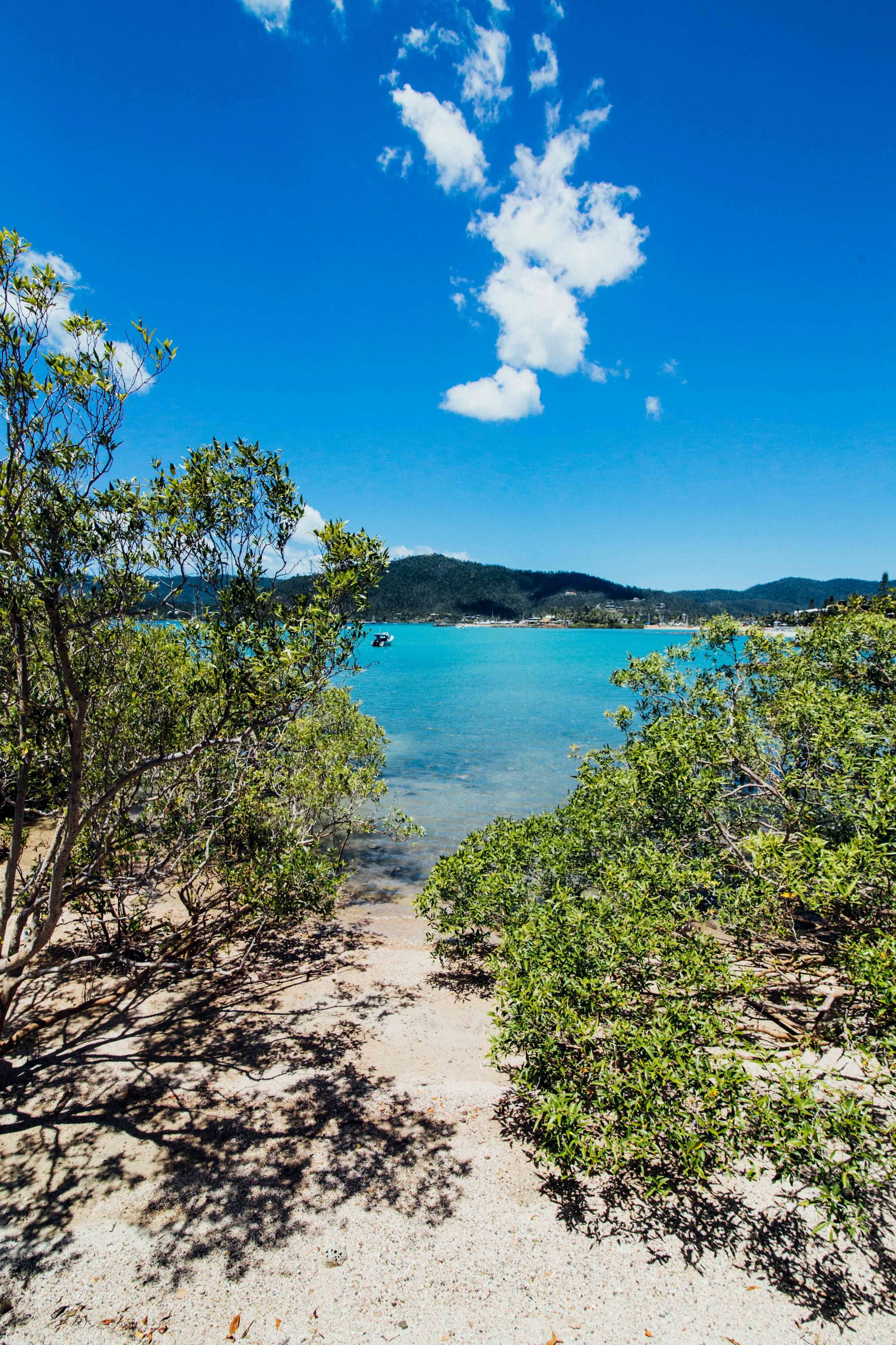 airlie-beach-paradise.jpg