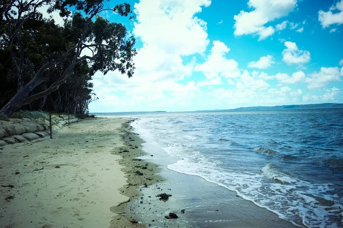 Coochiemudlo Island Dreaming