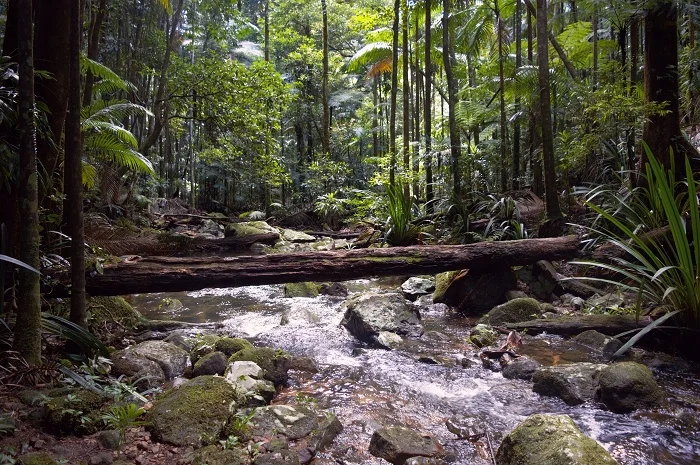 Falling For The Falls