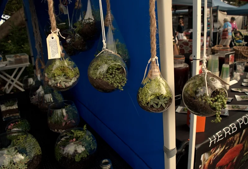 Red Hill Market Morning