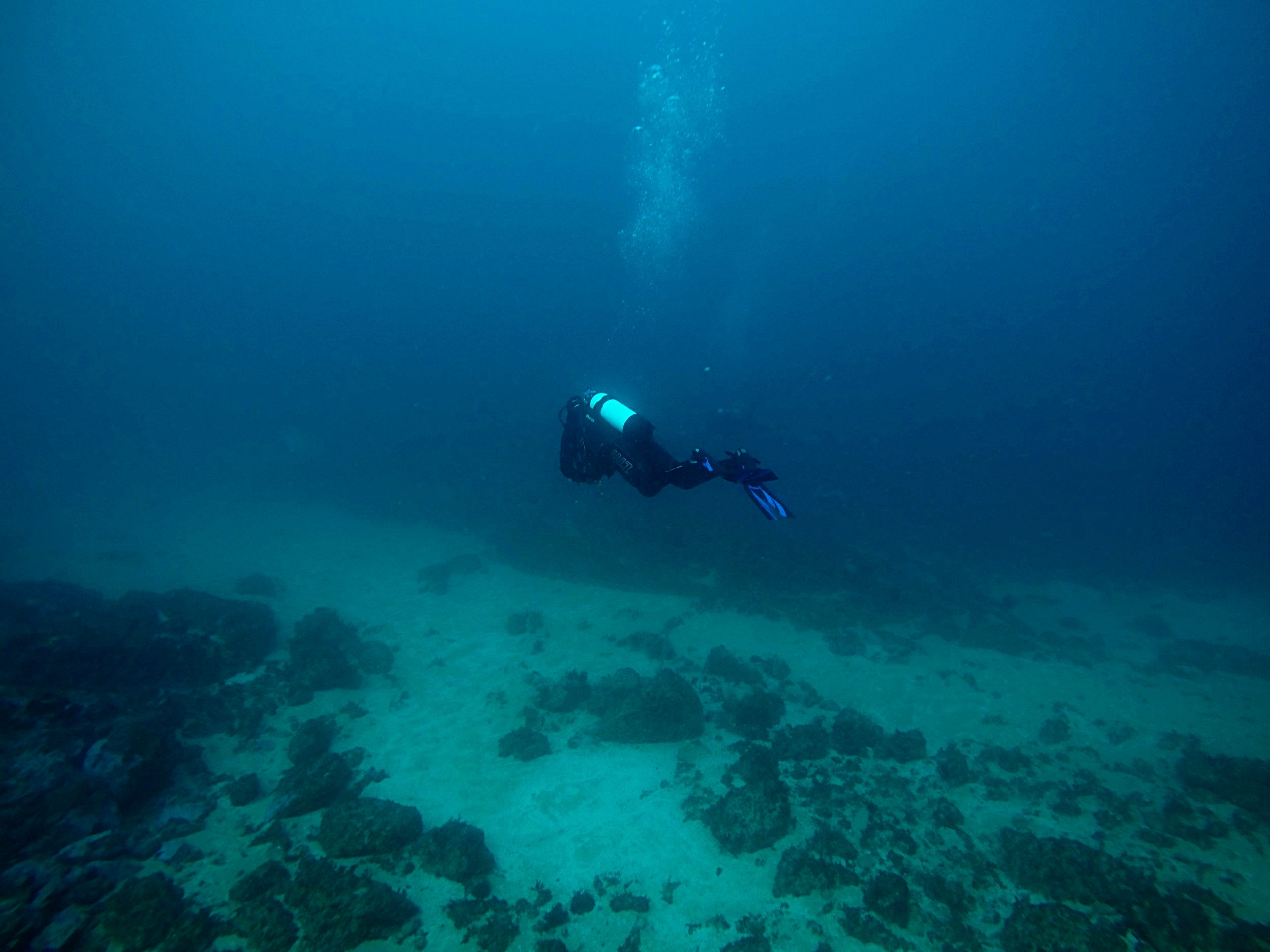 Buoyant space, self contained - 30 metres below (100 ft) South Solitary Island, off Coffs Harbour, NSW, 2014