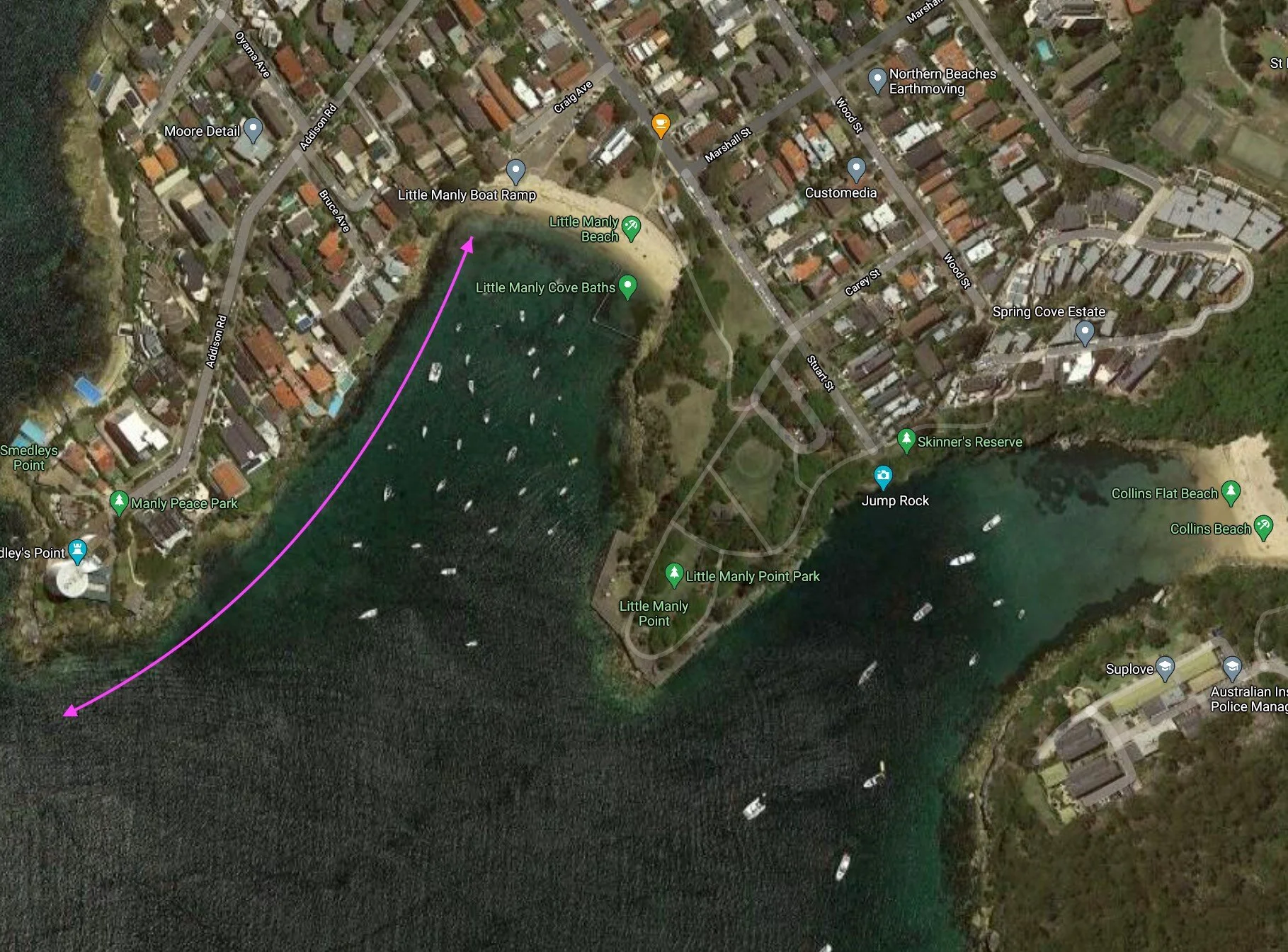 Little Manly Cove dive