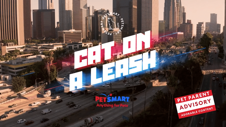 PetSmart - Cat On A Leash-high(1).gif