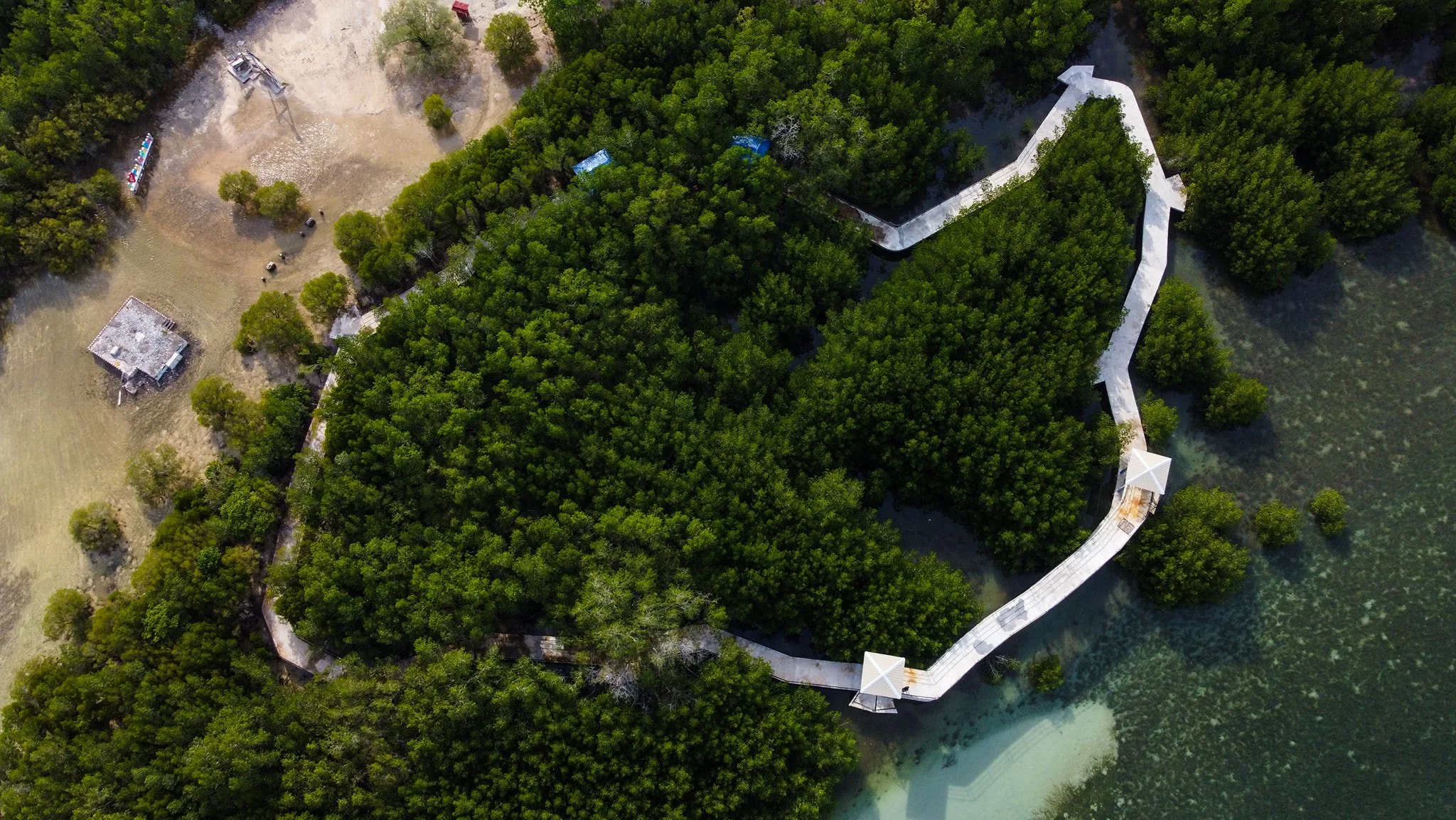 An aerial view of a landscape with dense green trees, a water body, a winding white pathway, and some buildings or structures. Best places to go in Dahican Beach and Mati City according to Tropical Kanakbai.