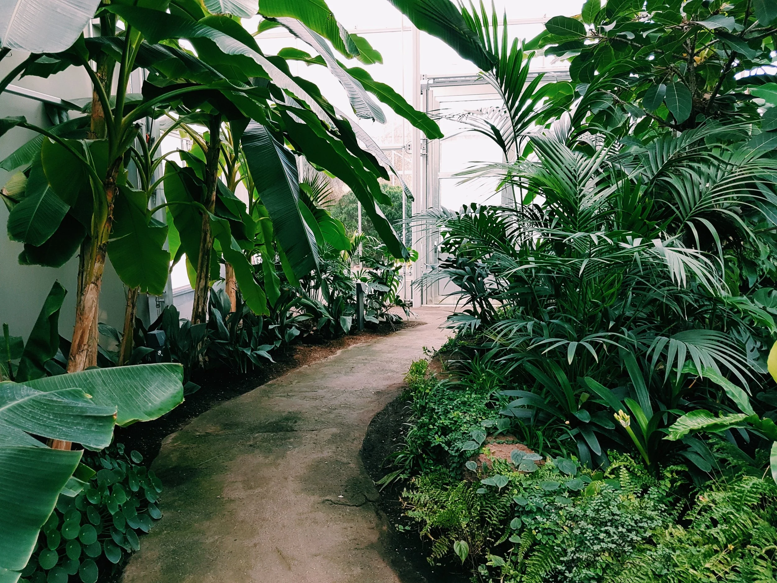 daylight-environment-garden-1055408.jpg