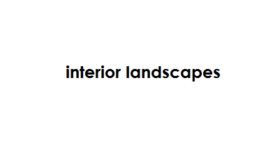 Interior Landscapes
