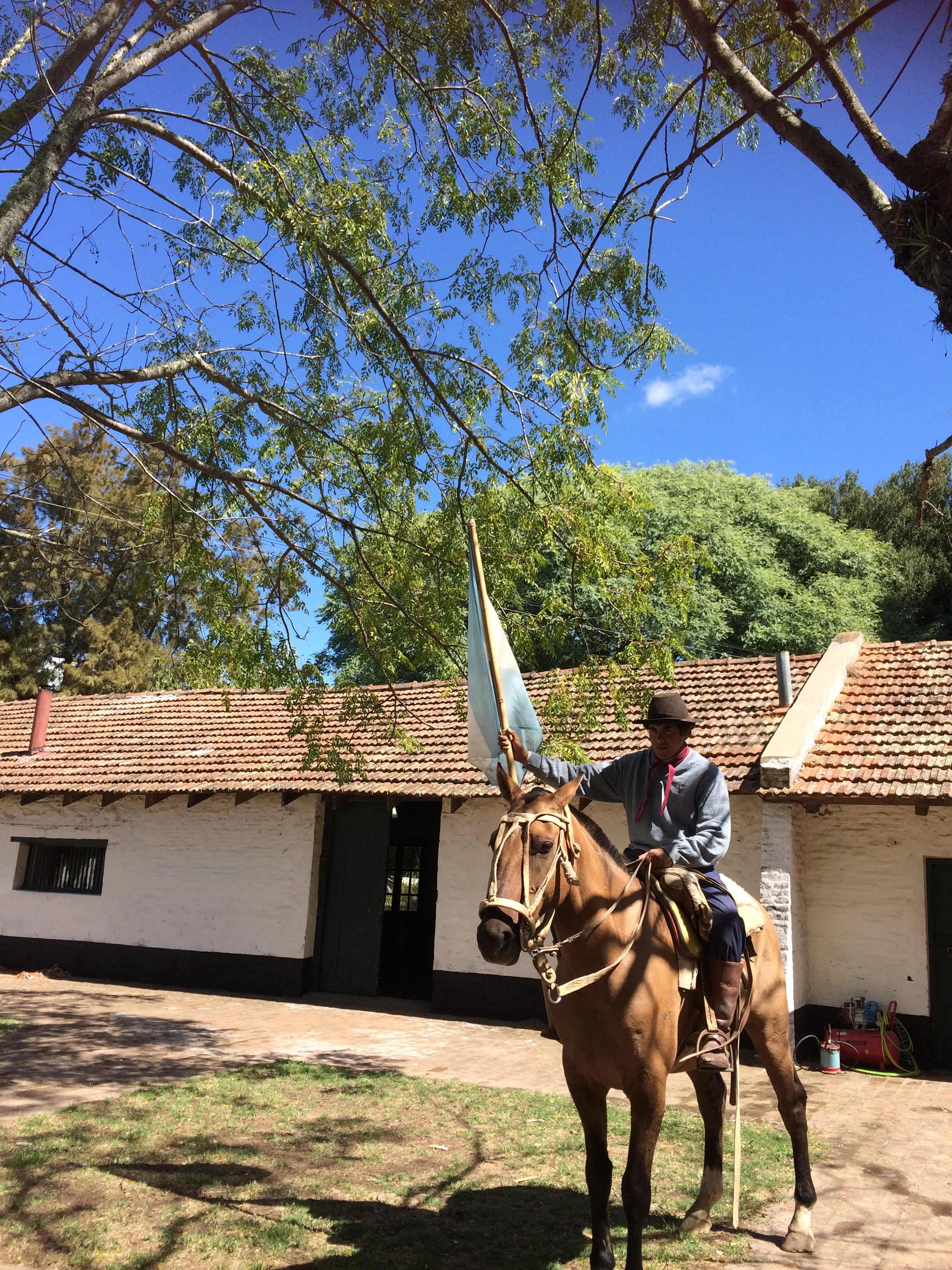 Gaucho på Estancia