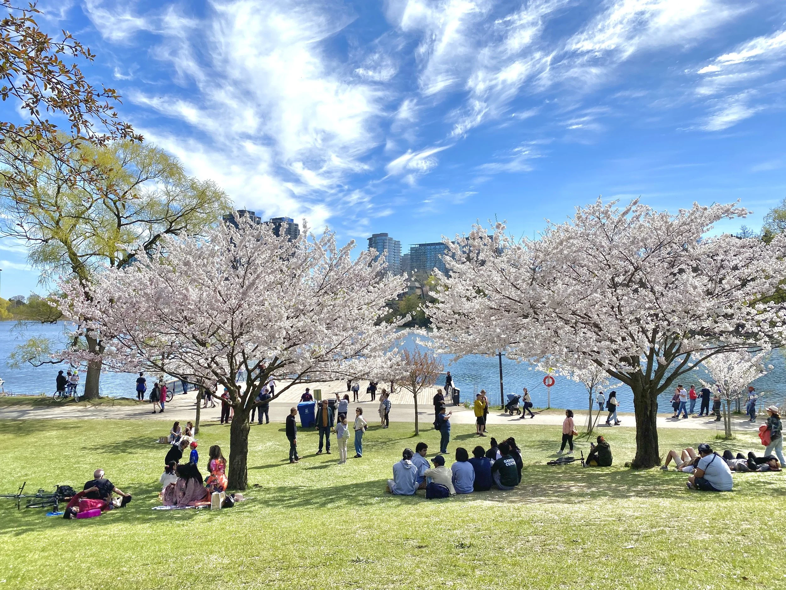 Opportunity knocks as GTA sees continued market adjustments