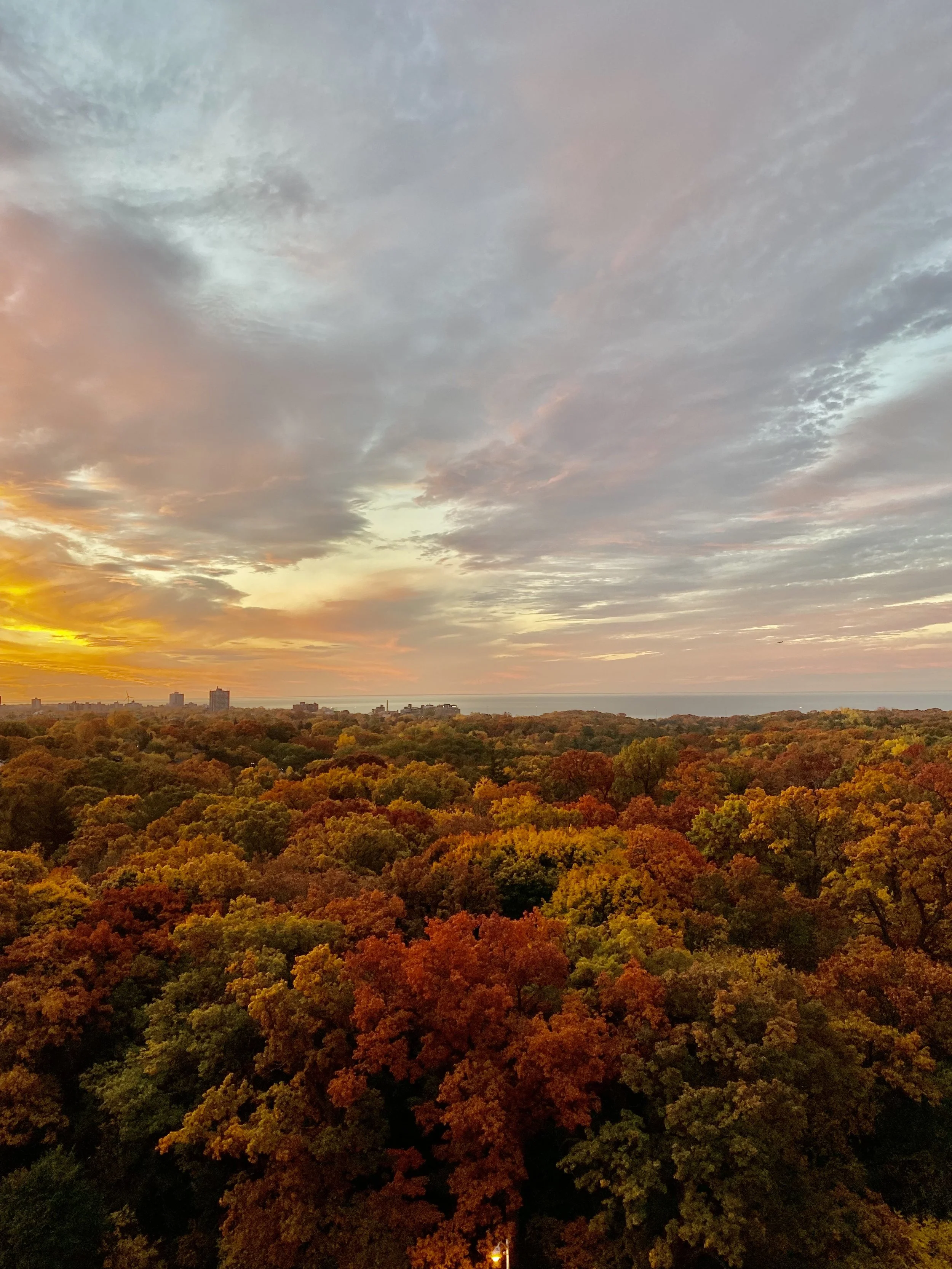 GTA Market Remains Resilient As Prices Level Off For The Third Straight Month