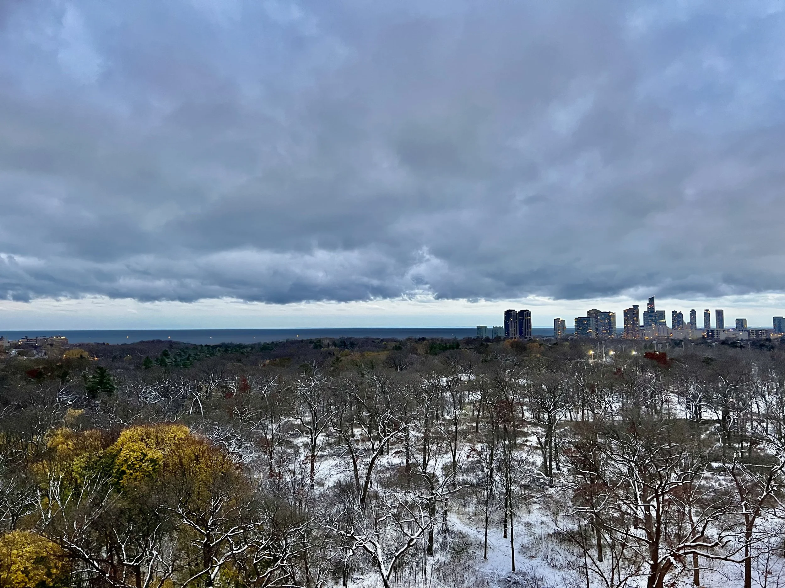 Stable Prices, Low Inventory, Fewer Transactions