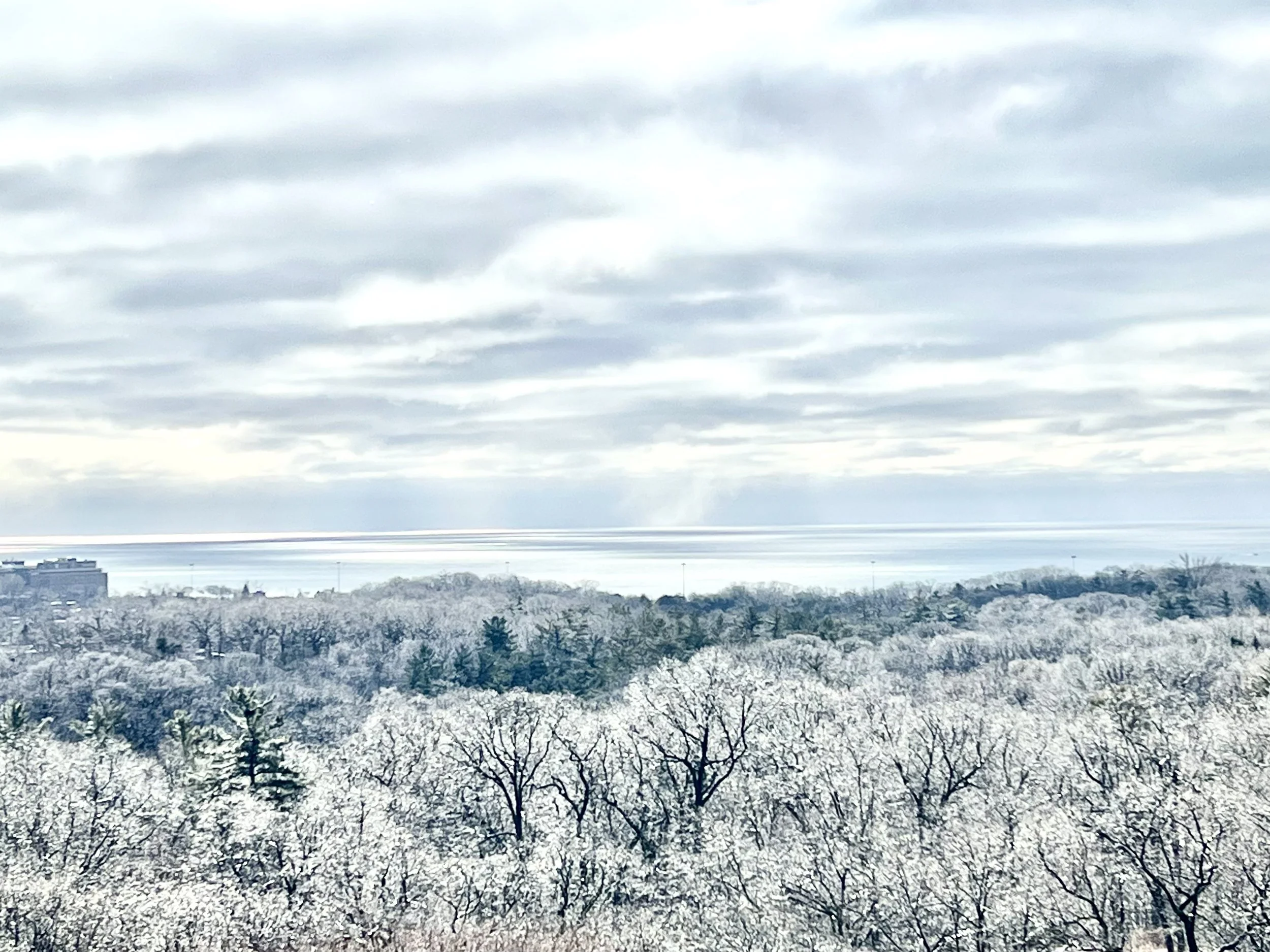 Low Inventory Once Again Spurs Increased Competition for Homes in the GTA