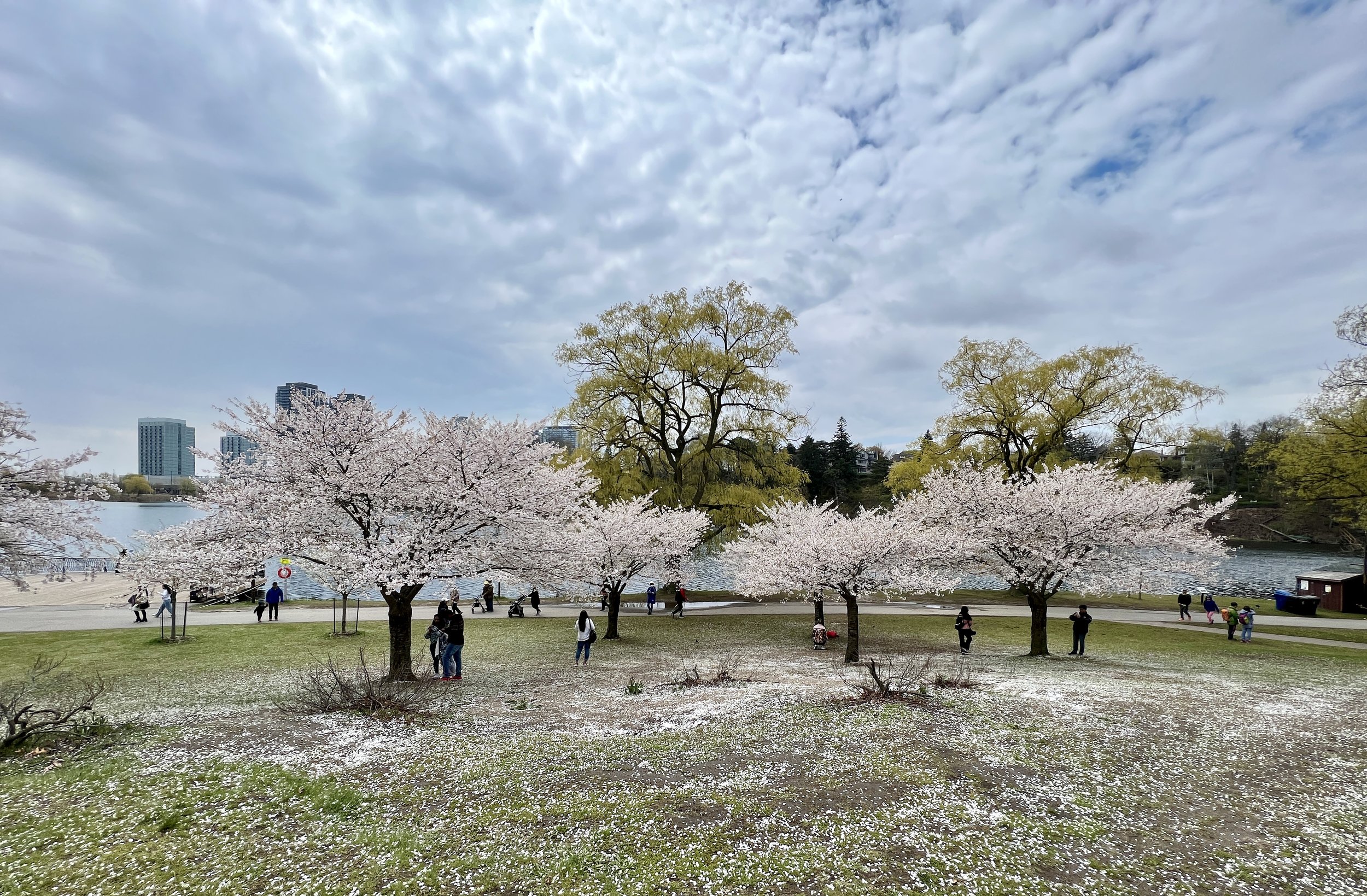 Intense Competition and Limited Inventory Drive Strong Surge in GTA Real Estate Market