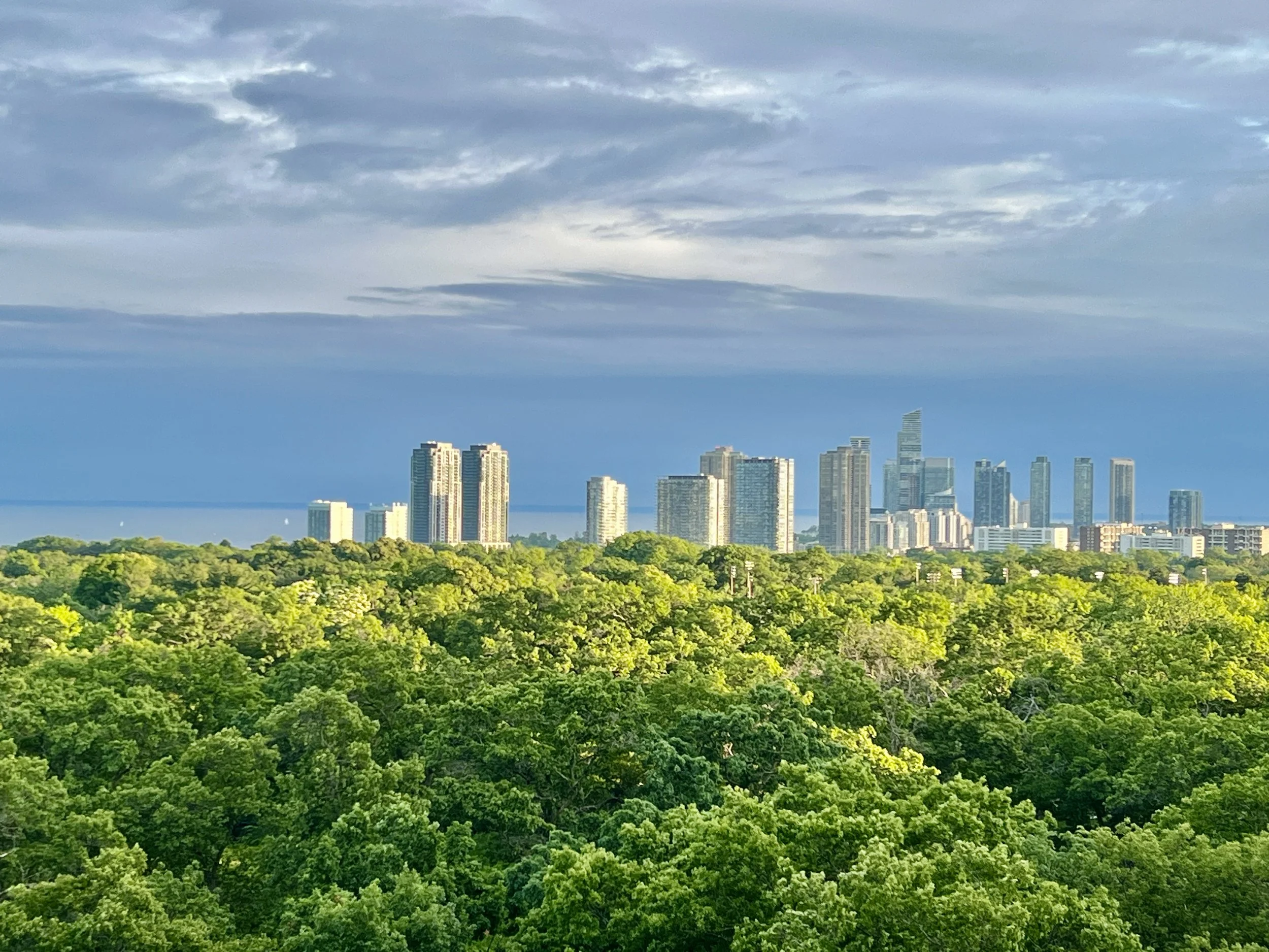The Pulse of the GTA Housing Market