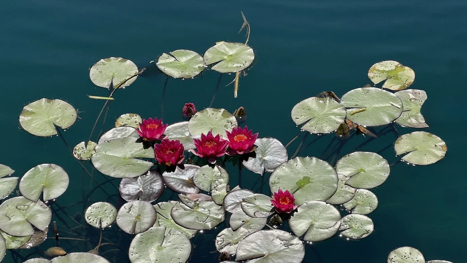 Seller's Resources_Toronto Real estate .JPG