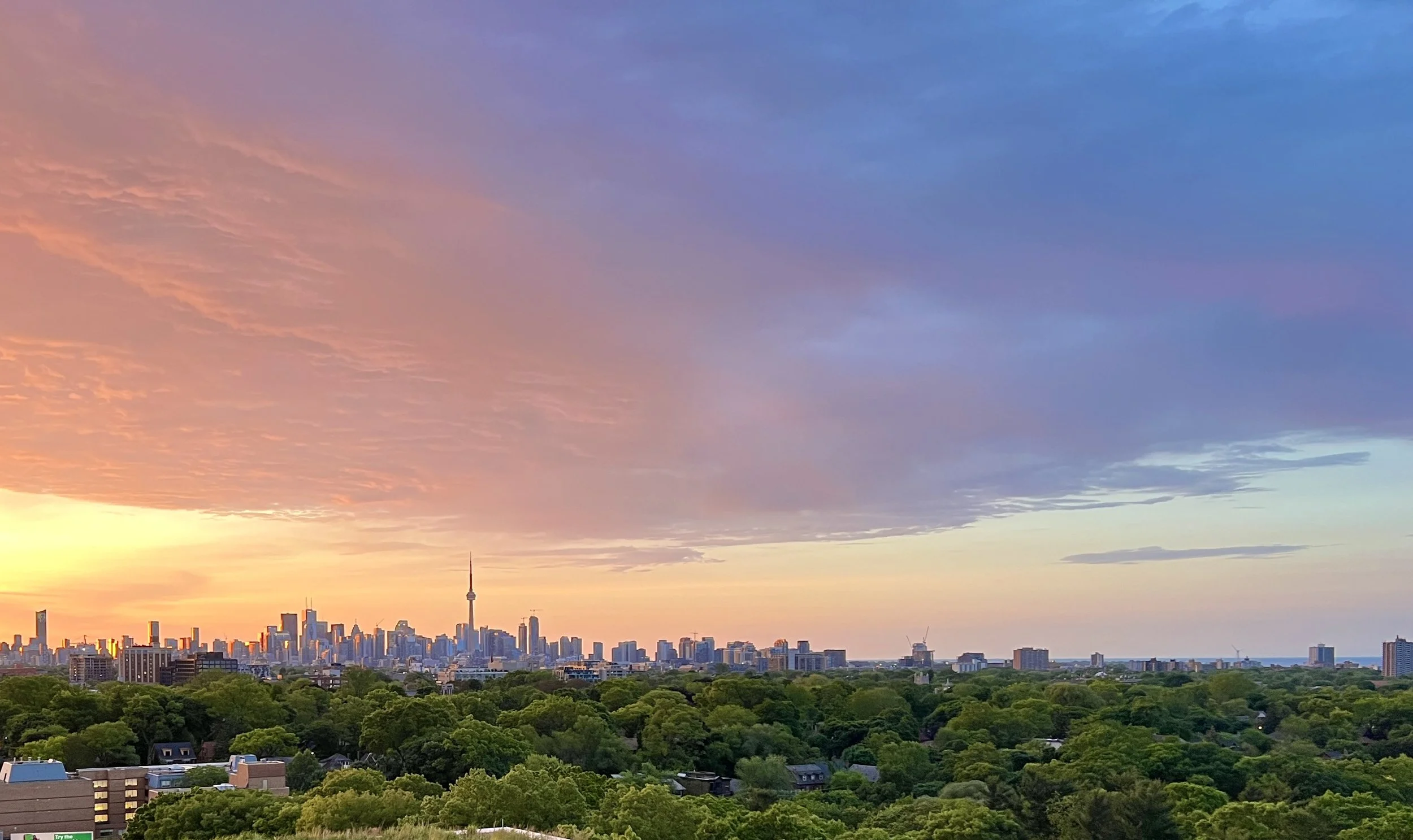 Luba Beley_Realtor.JPG