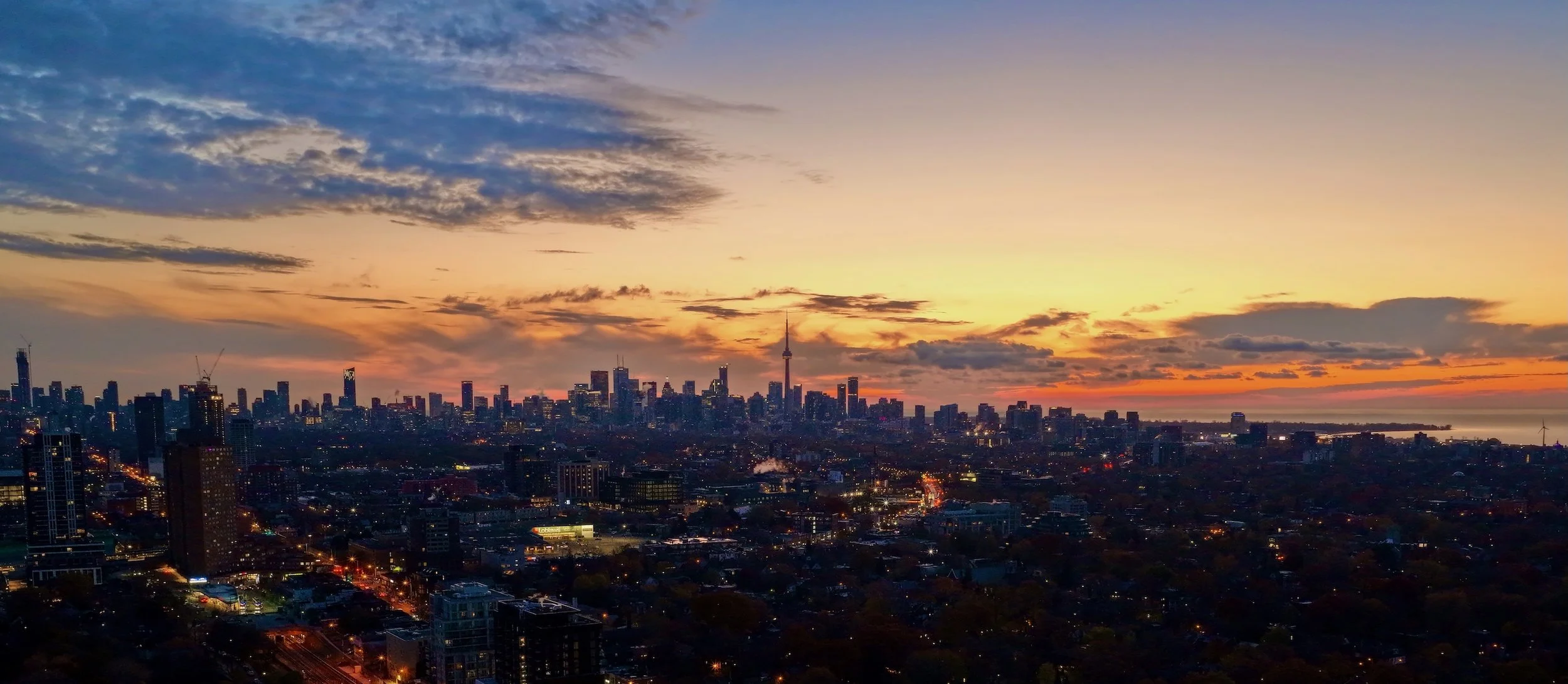 web_buyer's guide_LB.jpeg