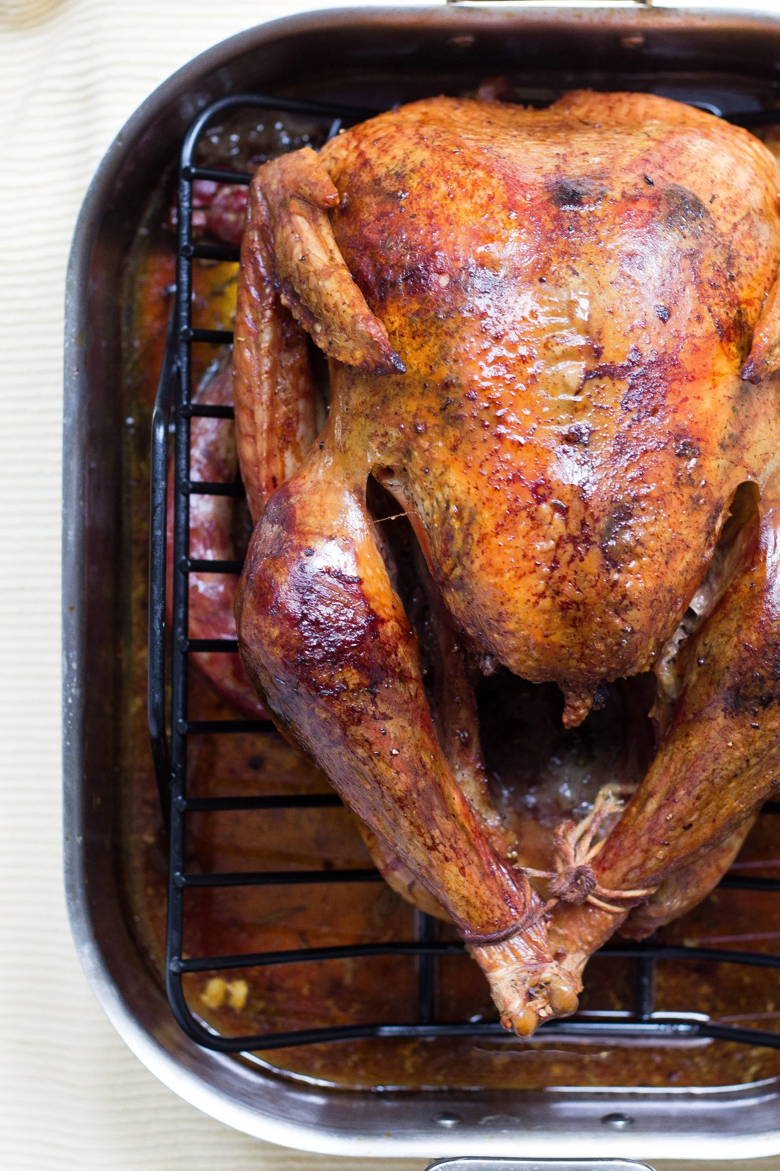 Turkey by Alison Marras
