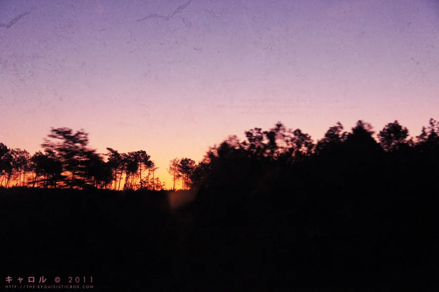 28oct0001.jpg