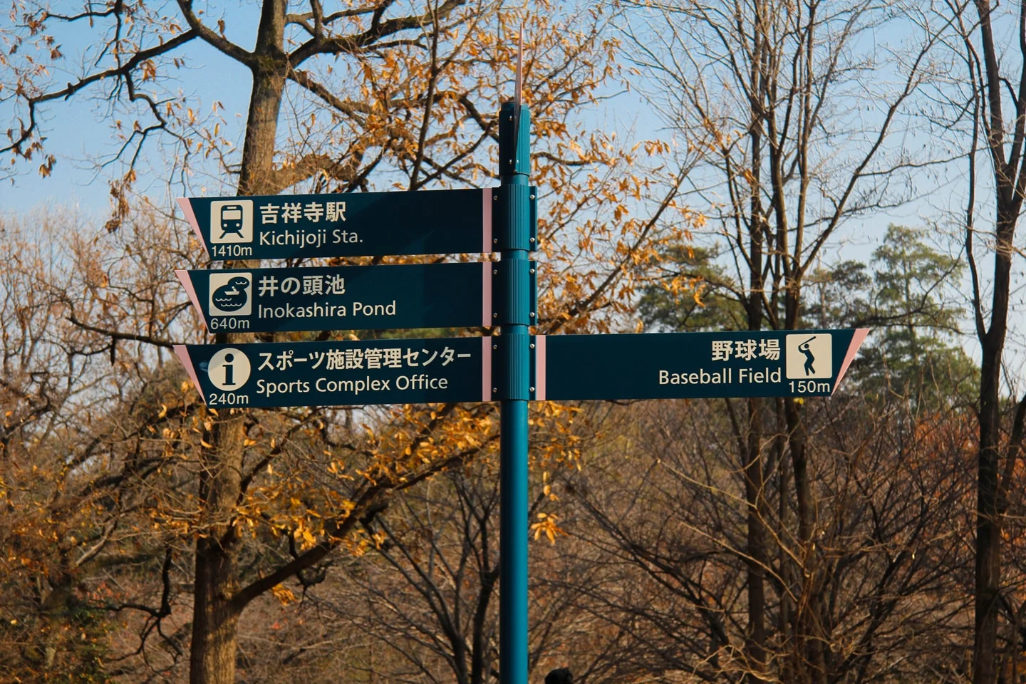Ghibli Museum, Inokashira Park