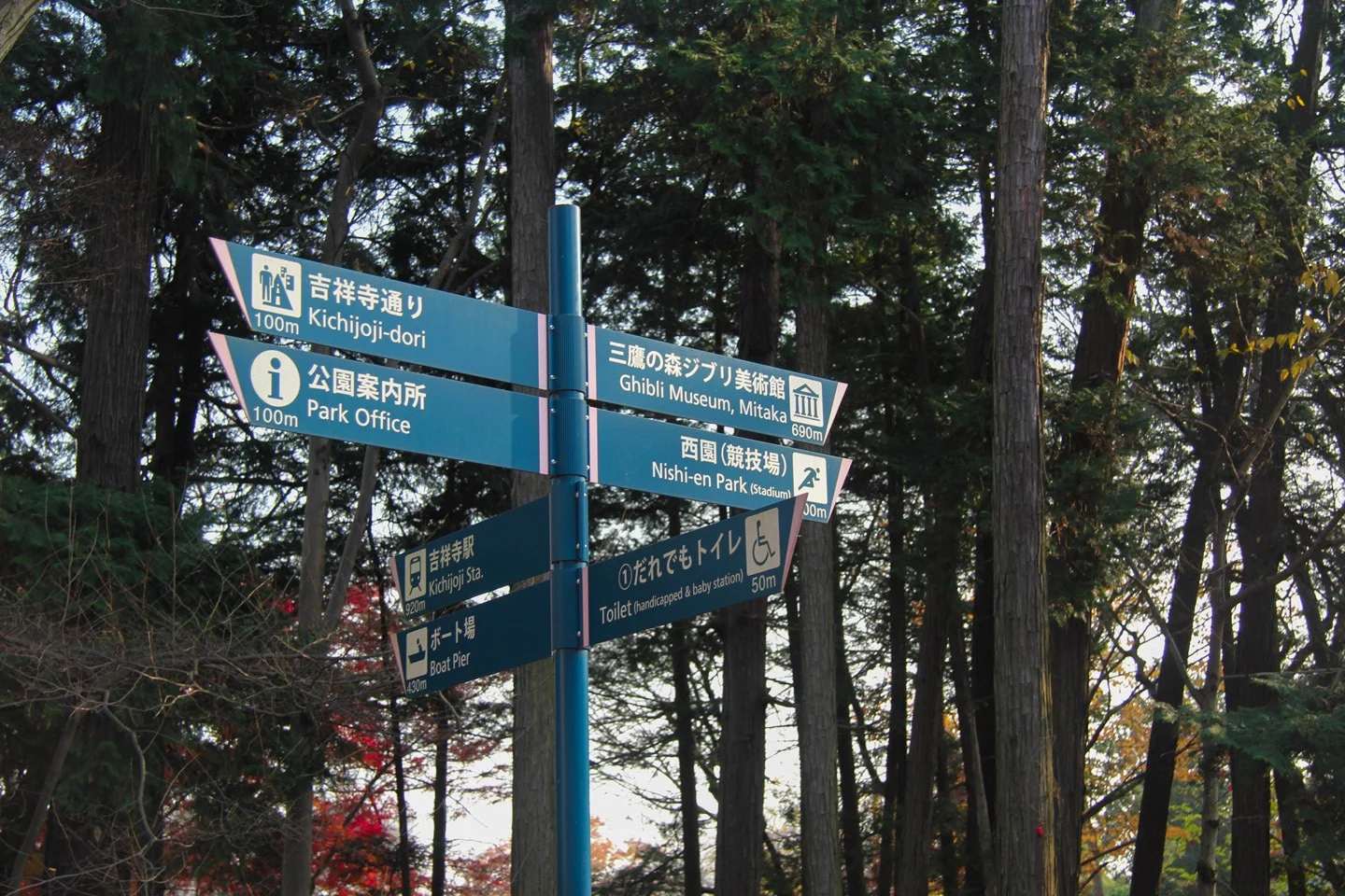 Ghibli Museum, Inokashira Park
