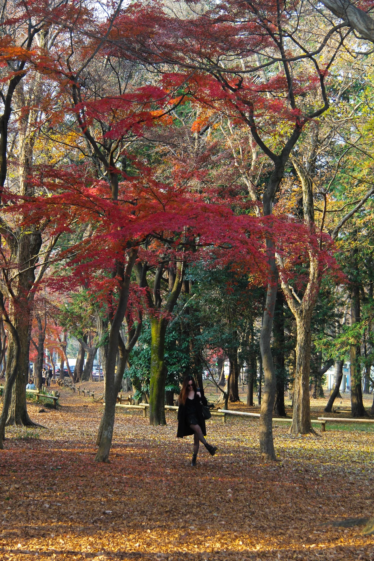 Ghibli Museum, Inokashira Park