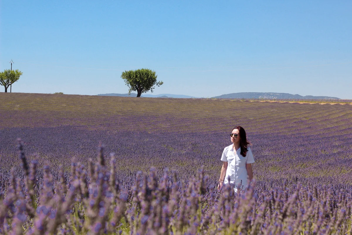 20160726_Provence_06.jpg