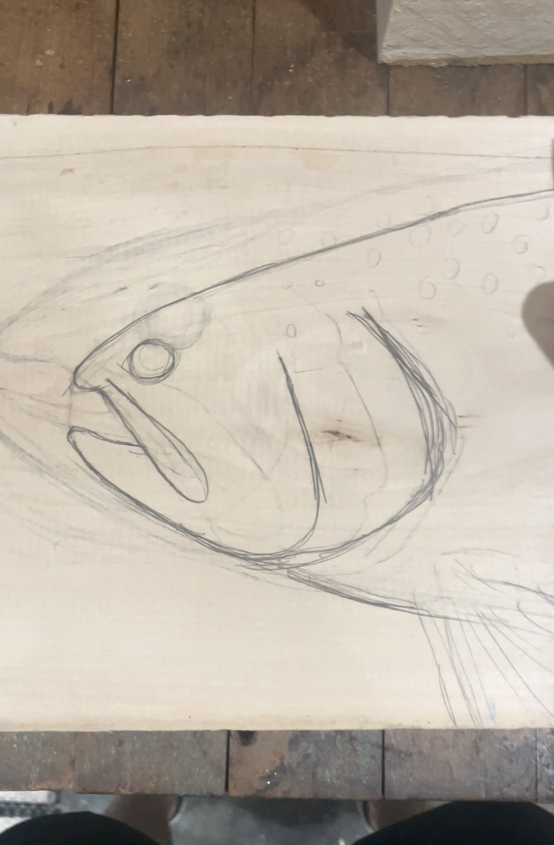 trout 4.png