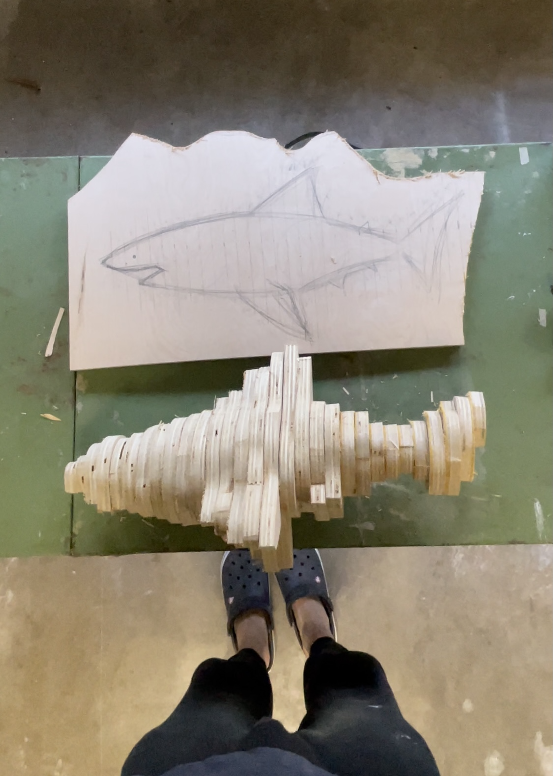 shark 2 .png