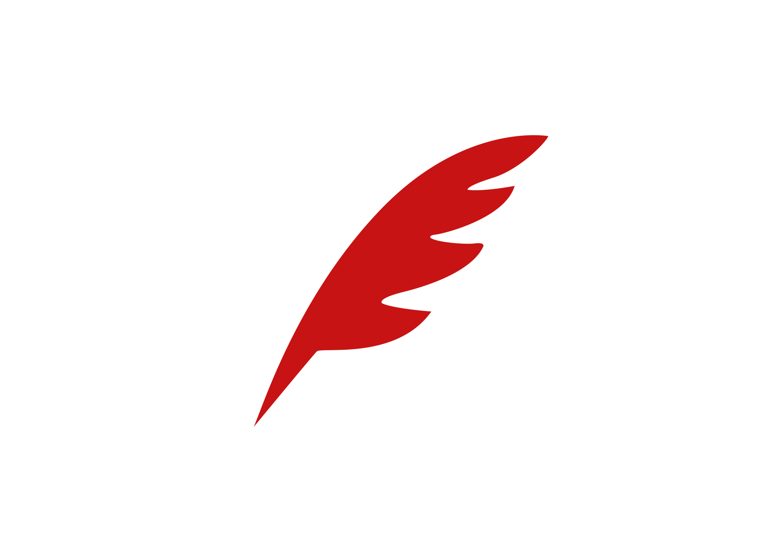 Be-A-Robin-Logo_WEB.png