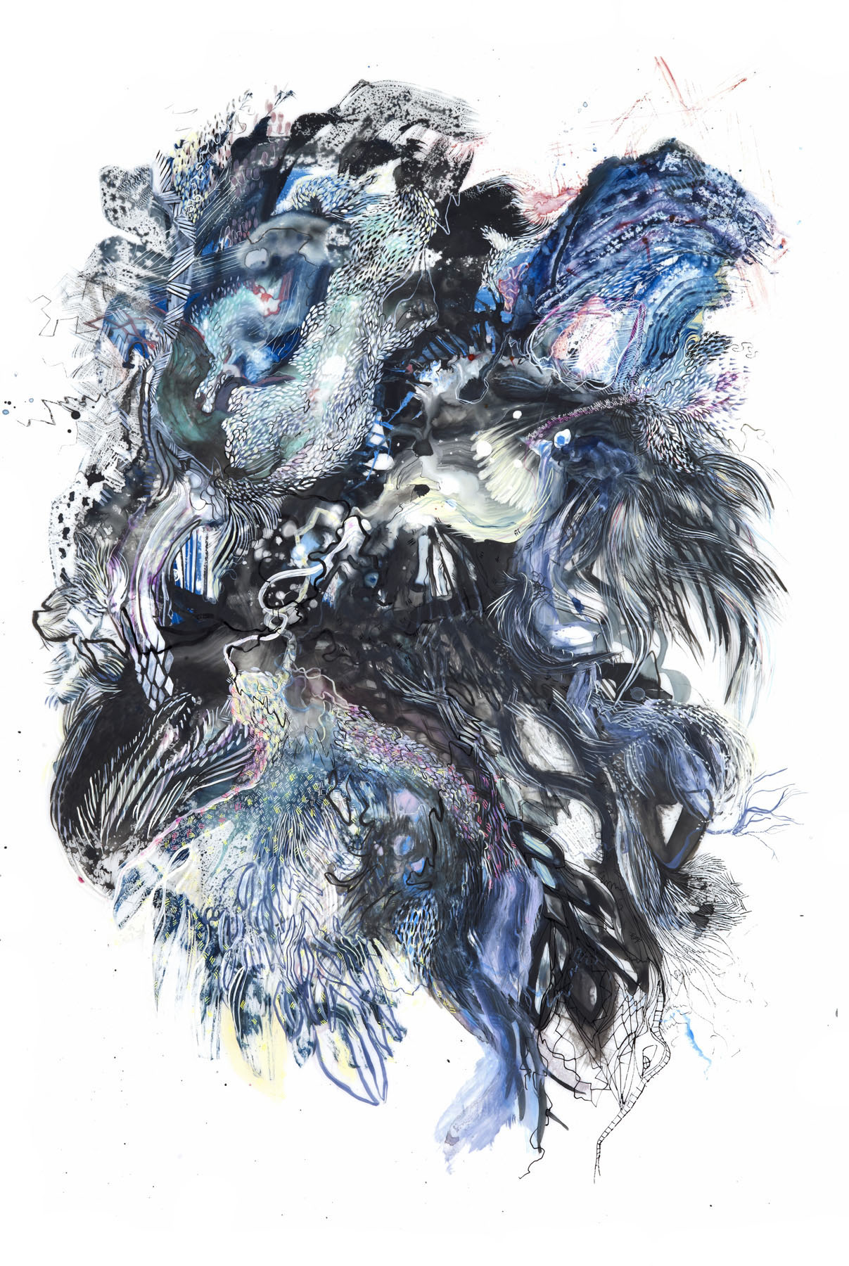  Paola Oxoa  Second Nature 15 , 2012, Ink, gouache, and graphite on mylar,  36 x 24 in. (91.44 x 60.96 cm) 