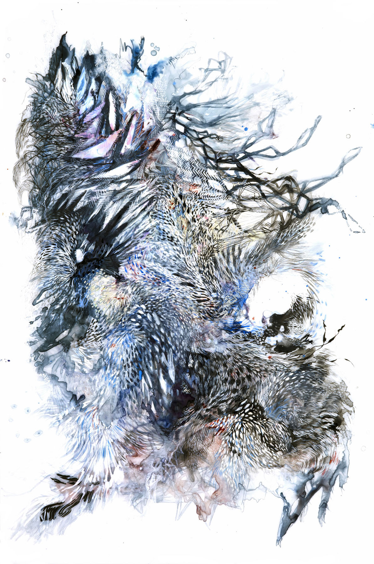  Paola Oxoa  Second Nature 11 , 2011, Ink, gouache, and graphite on mylar,  36 x 24 in. (91.44 x 60.96 cm) 