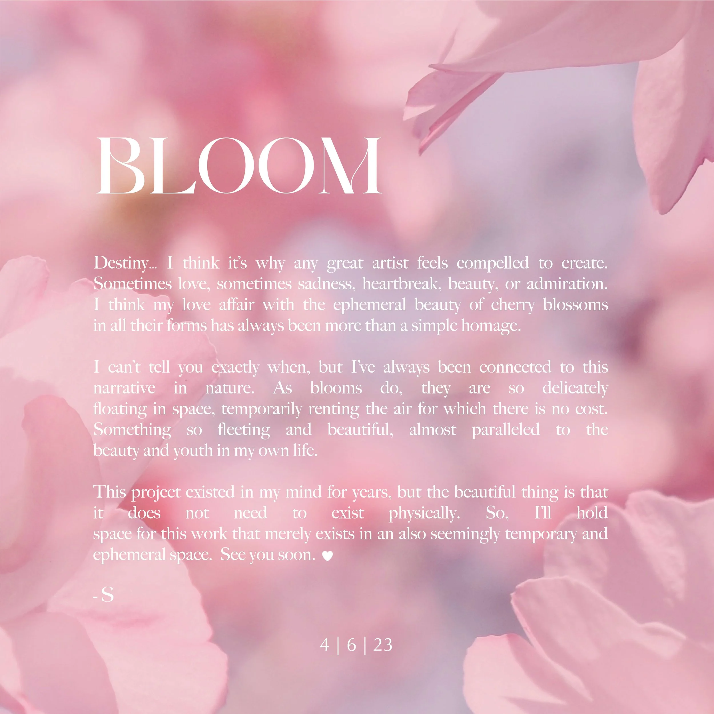 BLOOM FILES-10 copy.JPG