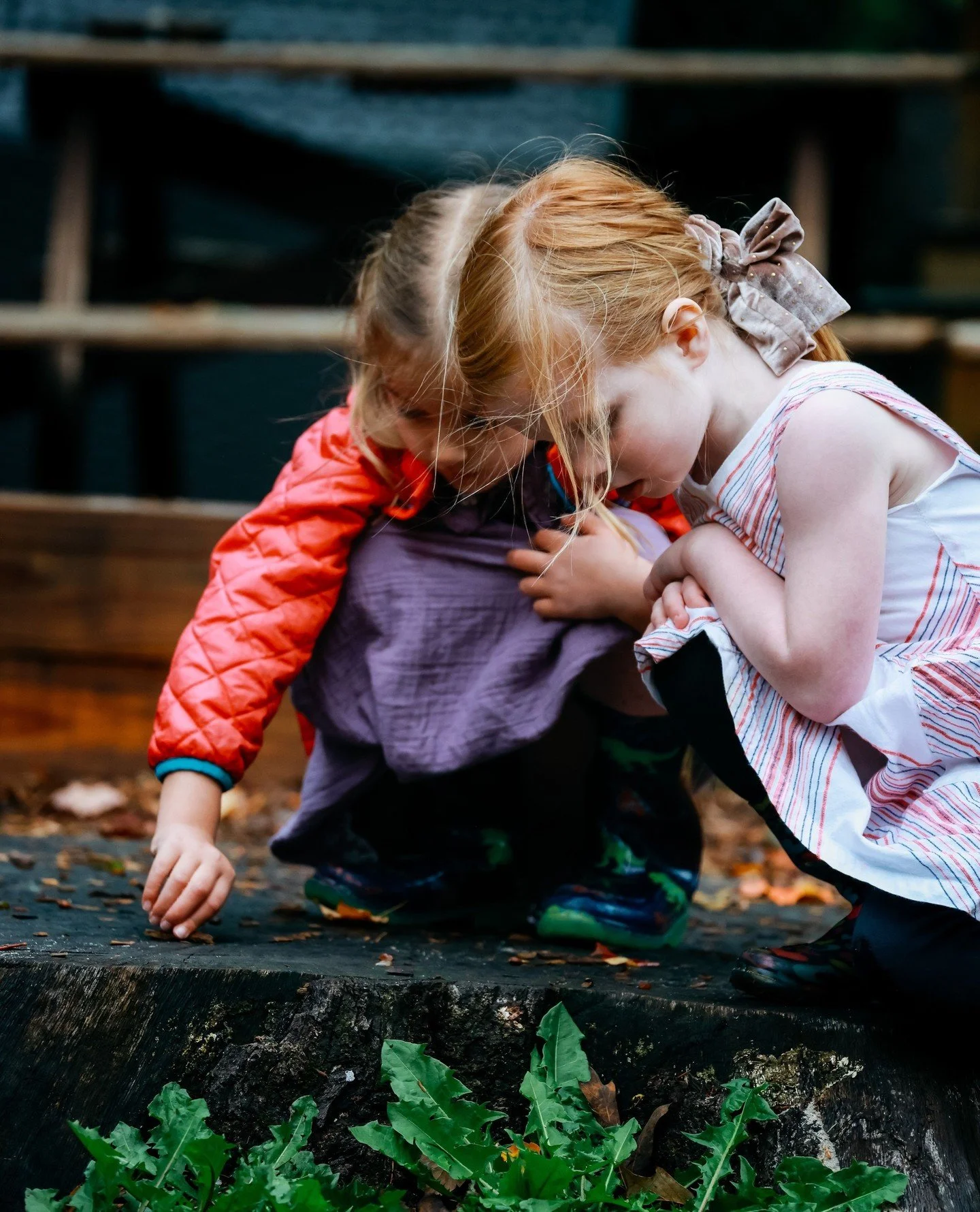Friendships are where the Responsive Classroom comes to life. Children learn how to listen, include, and care for one another. Those lessons ripple outward into every part of their world.