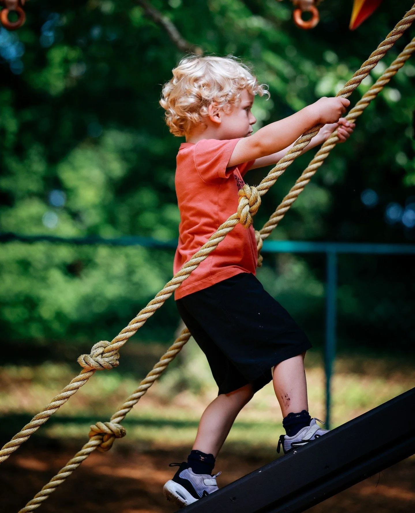 Climbing is an essential form of "risky play" that builds critical physical, cognitive, and emotional skills. It acts as a full-body workout that enhances coordination, grip strength, and balance while stimulating the brain through spatial 
