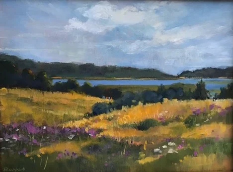 Meadow in Bloom