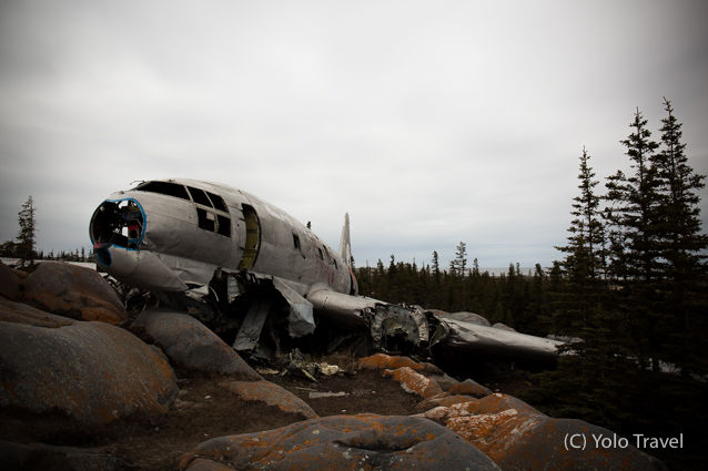 Canada - Walking with Giants (2 of 117).jpg
