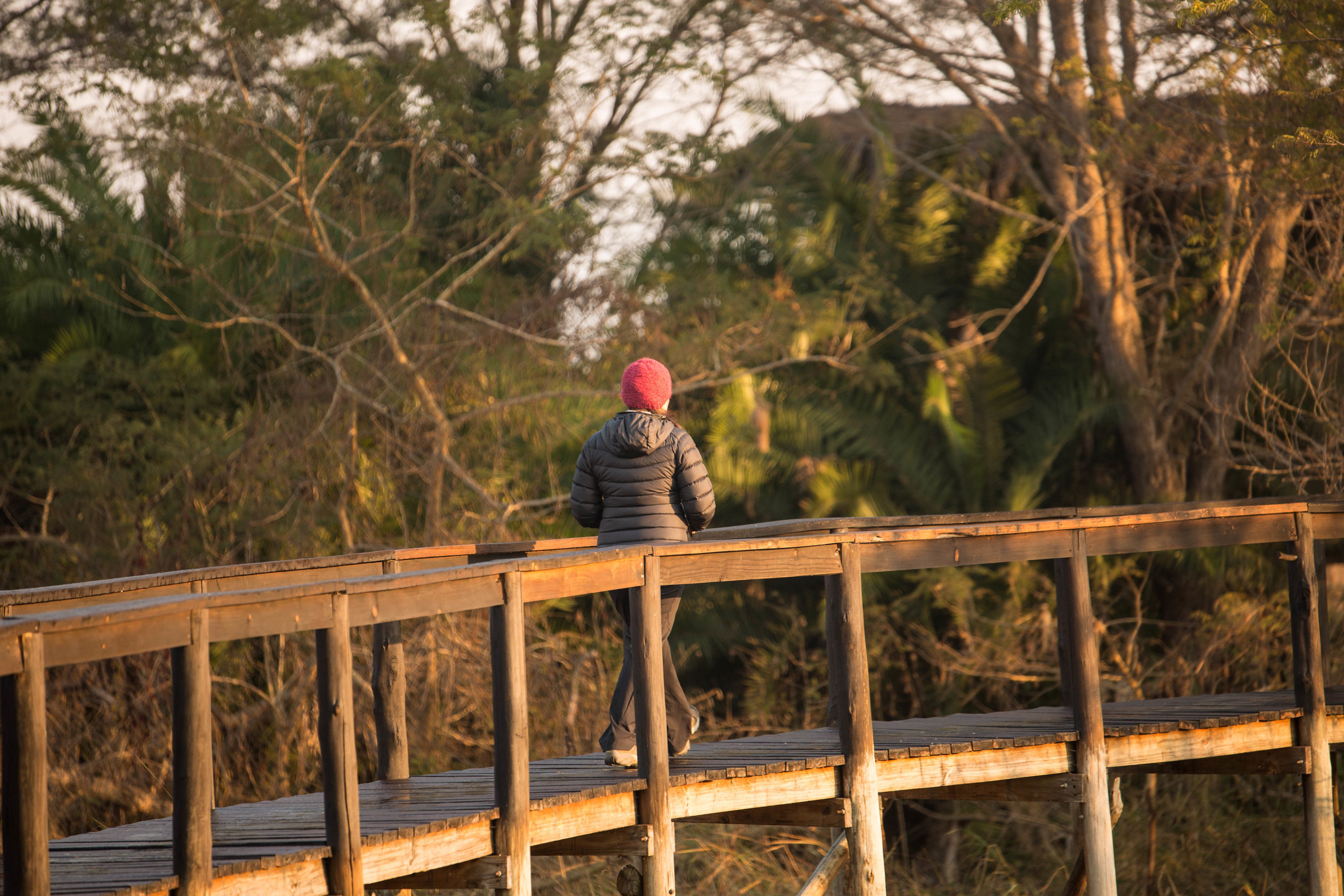 Raised Camp Walkways