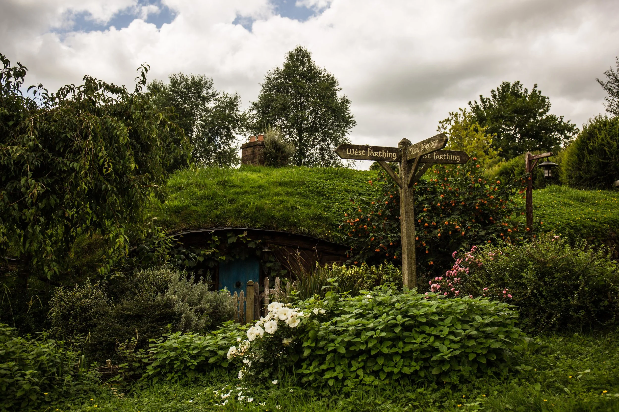 Weekend in New Zealand (7 of 34).jpg