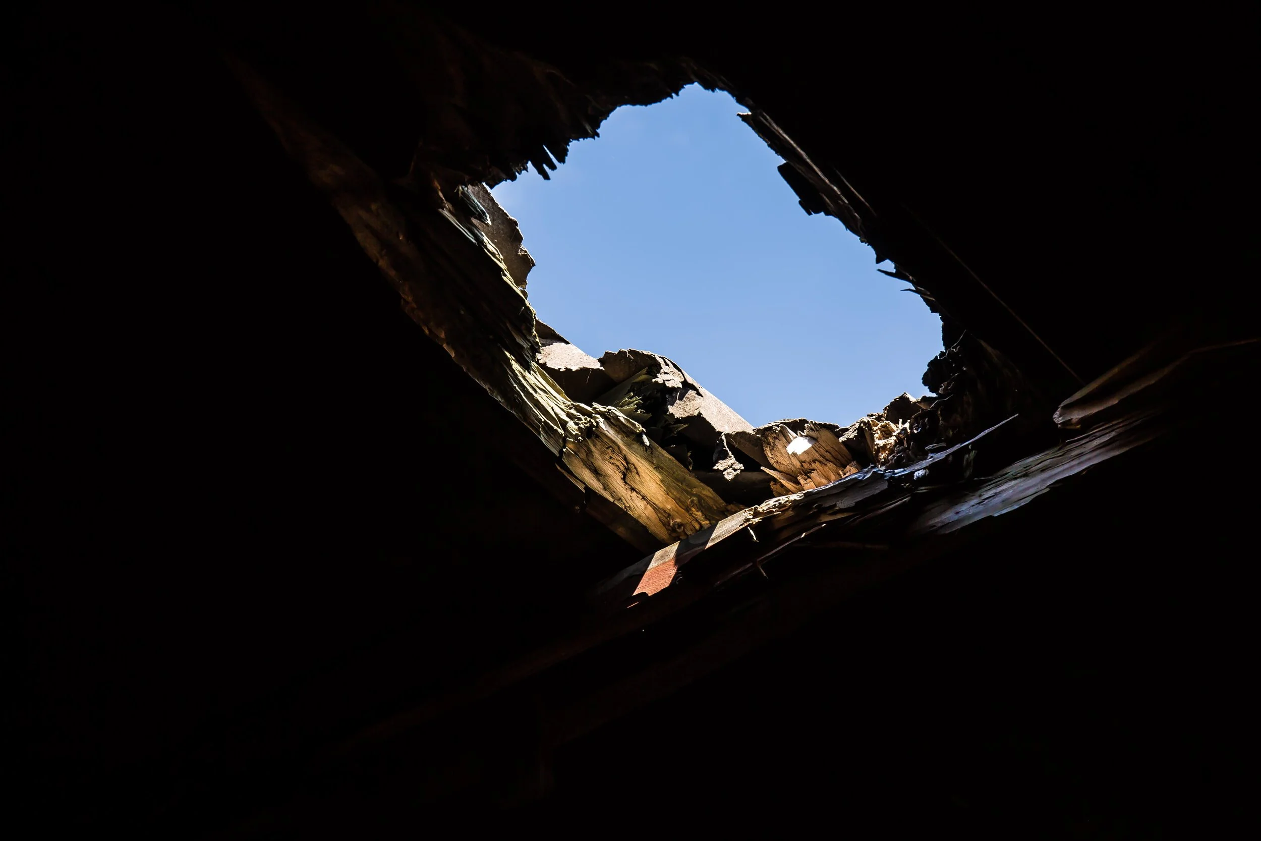 Weekend in New Zealand (26 of 34).jpg