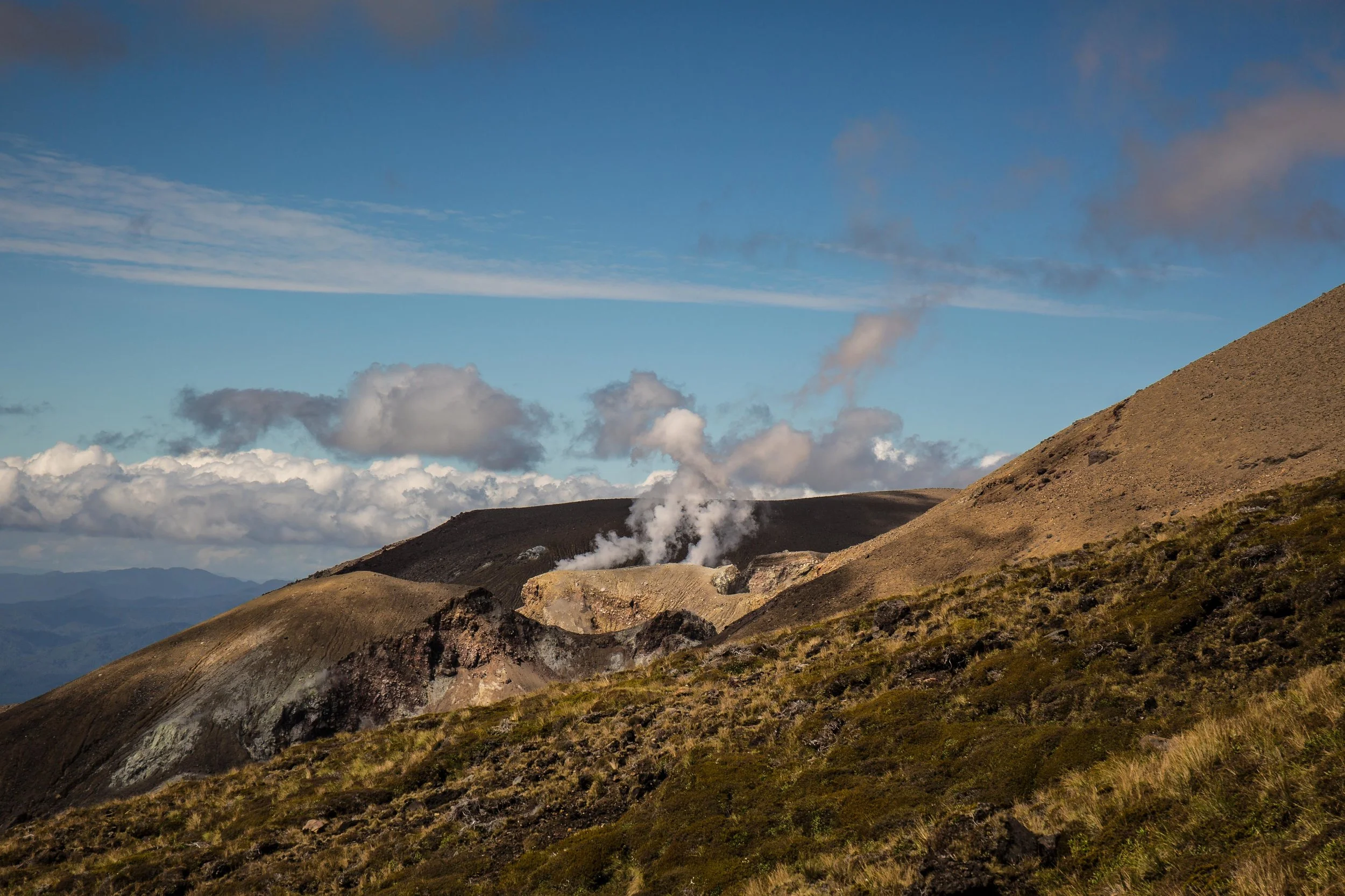 Final New Zealand Shots (54 of 77).jpg