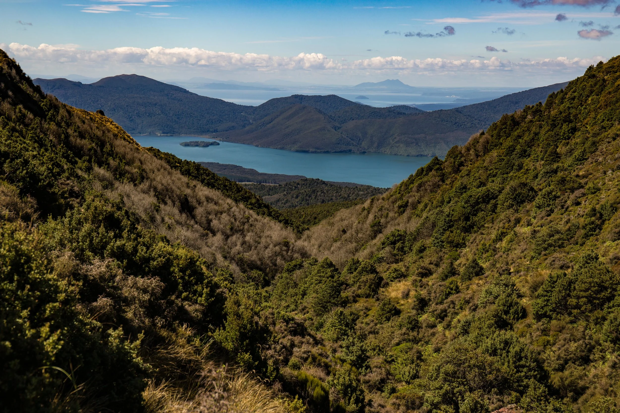Final New Zealand Shots (57 of 77).jpg