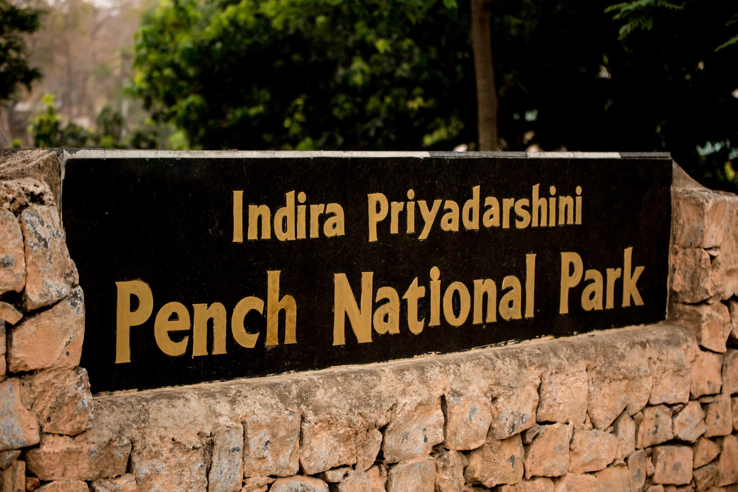 Pench Tiger Reserve (1 of 1).jpg