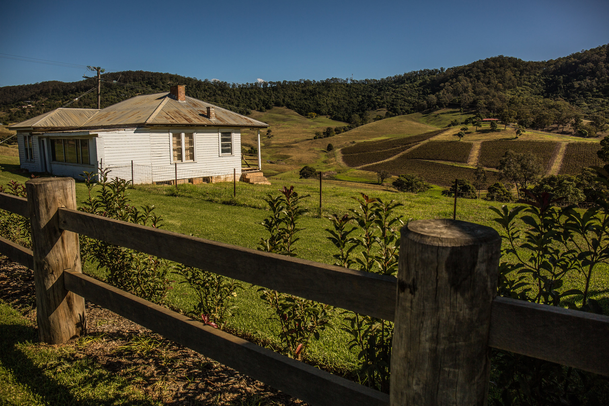 Hunter Valley Blog Post (21 of 39).jpg
