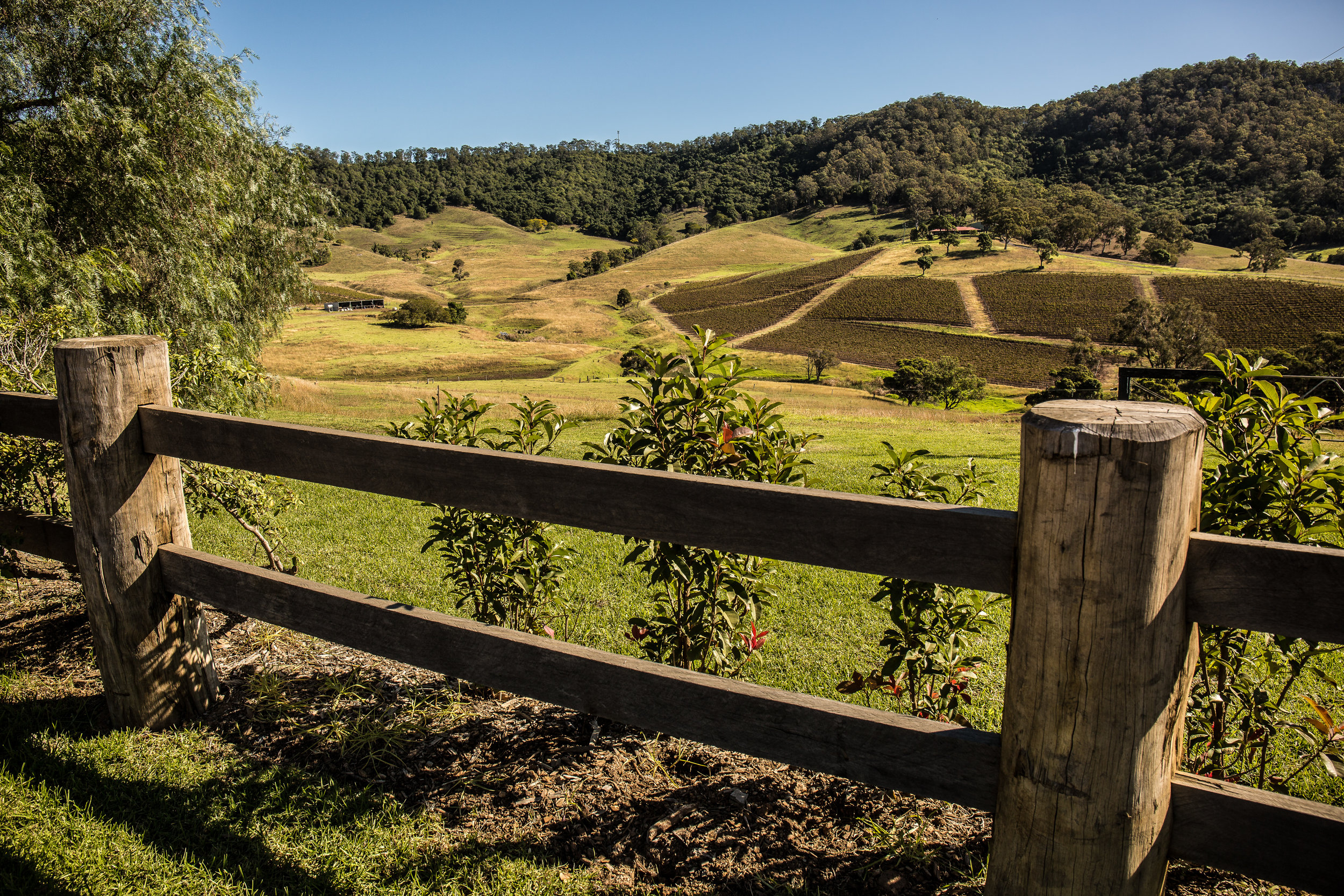 Hunter Valley Blog Post (23 of 39).jpg
