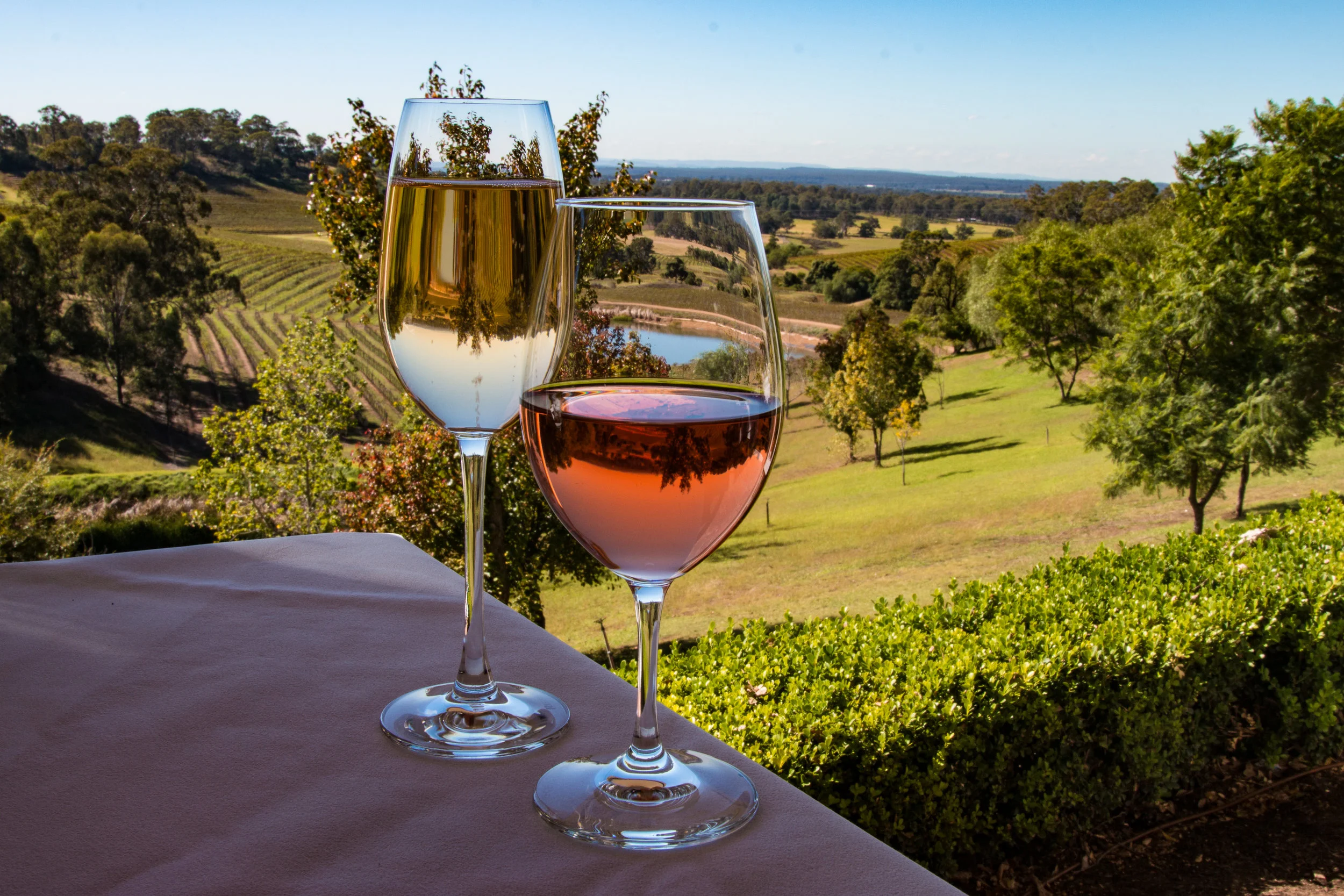 Hunter Valley Blog Post (Ajp) (10 of 11).jpg