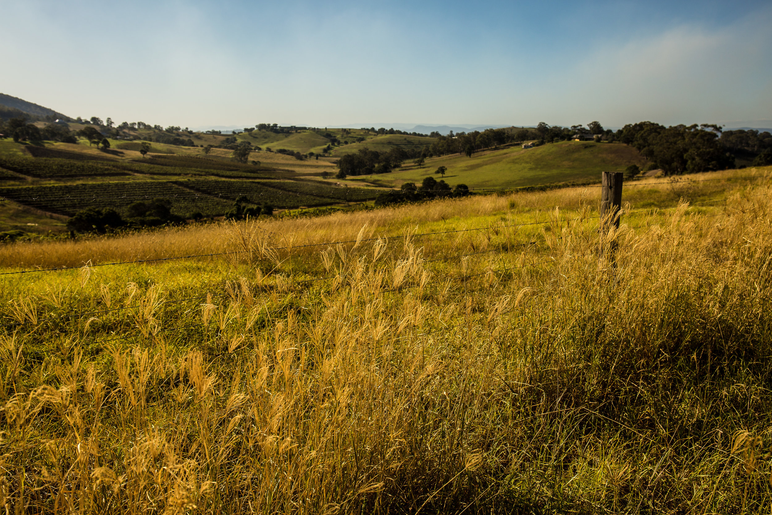 Hunter Valley Blog Post (26 of 39).jpg